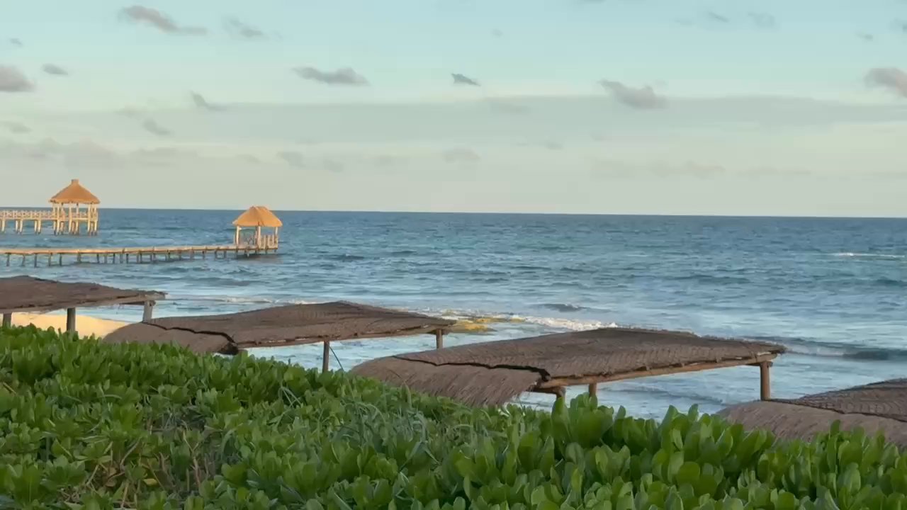 Havana Moon - Gulf of America - Cocktail Bars Near Me - Chacalal, ROO