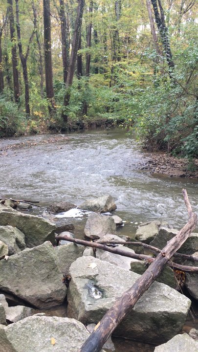 Valleycrest Park - 10-30-2021 Higher water after yesterday's rain but oh so peaceful to listen to! :) - Parks Near Me - Annandale, Virginia