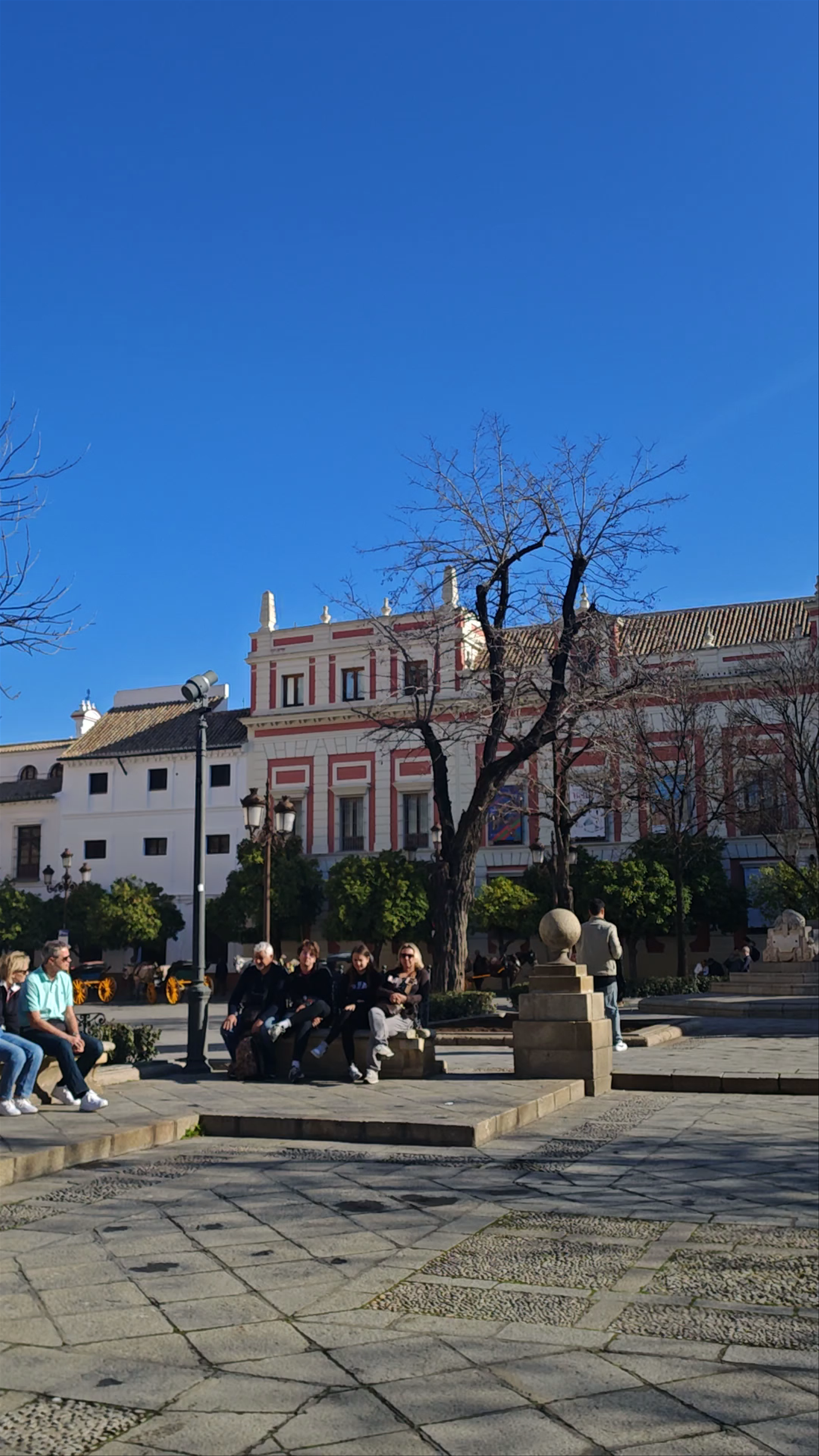 Plaza del Triunfo: Historic Heart of Seville's Andalusian Charm