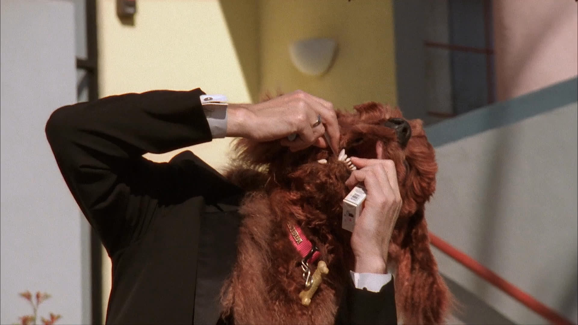 A man wearing a detailed dog mask adjusts and removes it while standing outside, before transitioning to scenes of driving across the Bay Bridge into a residential neighborhood.