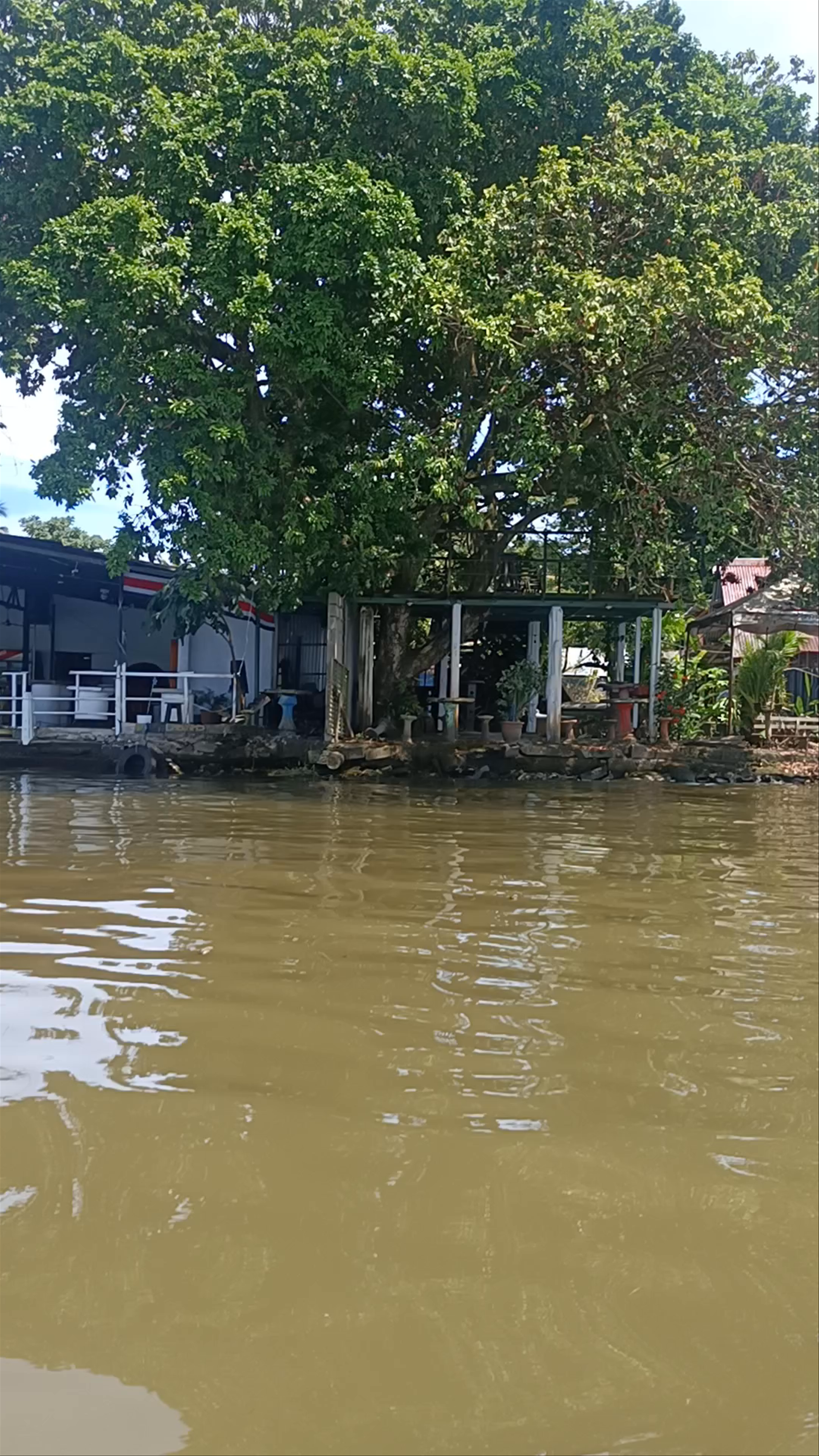 Tortuguero National Park