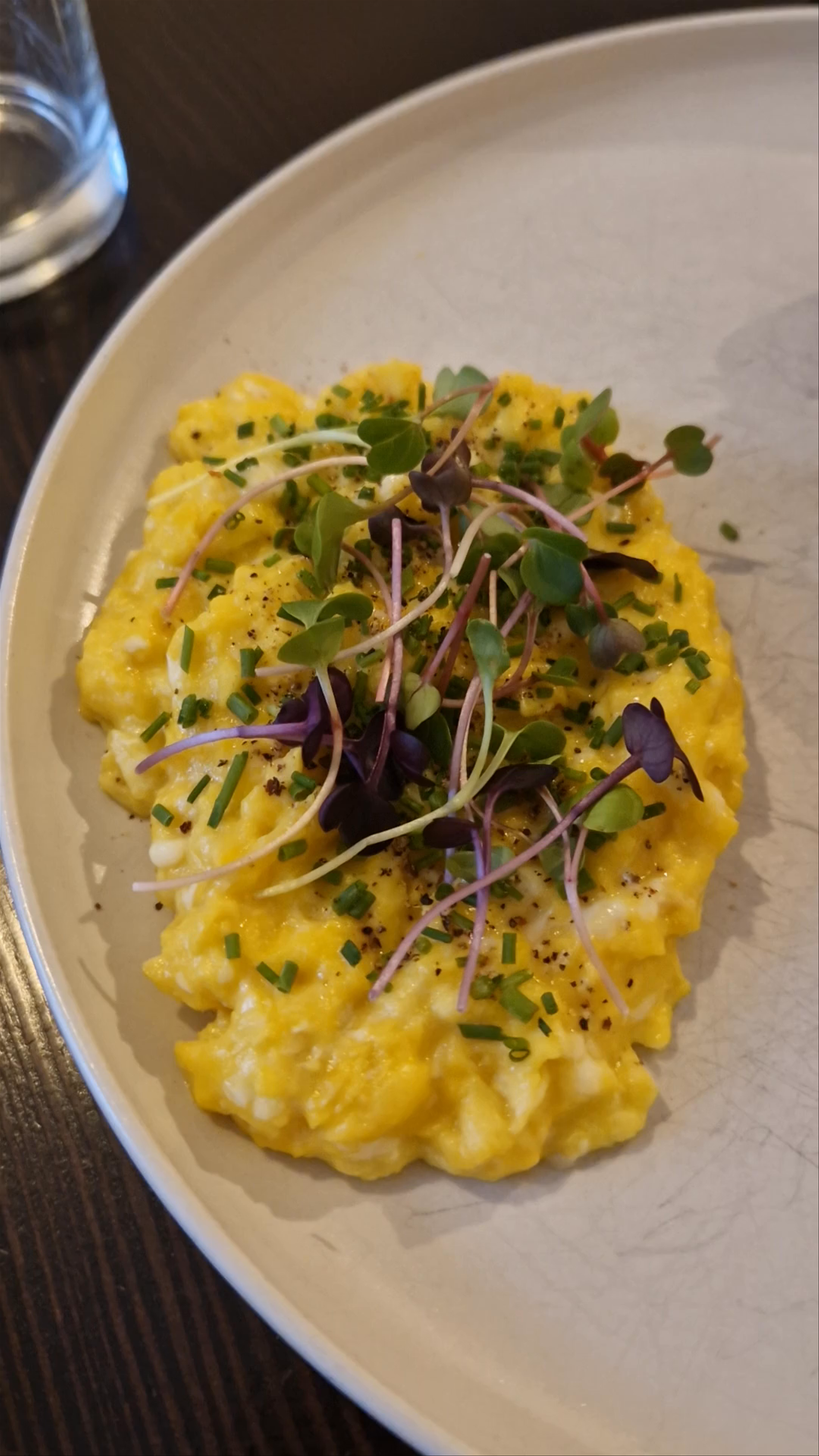 Cozy Brunch Vibes at Coffee and Riot, New Town Prague