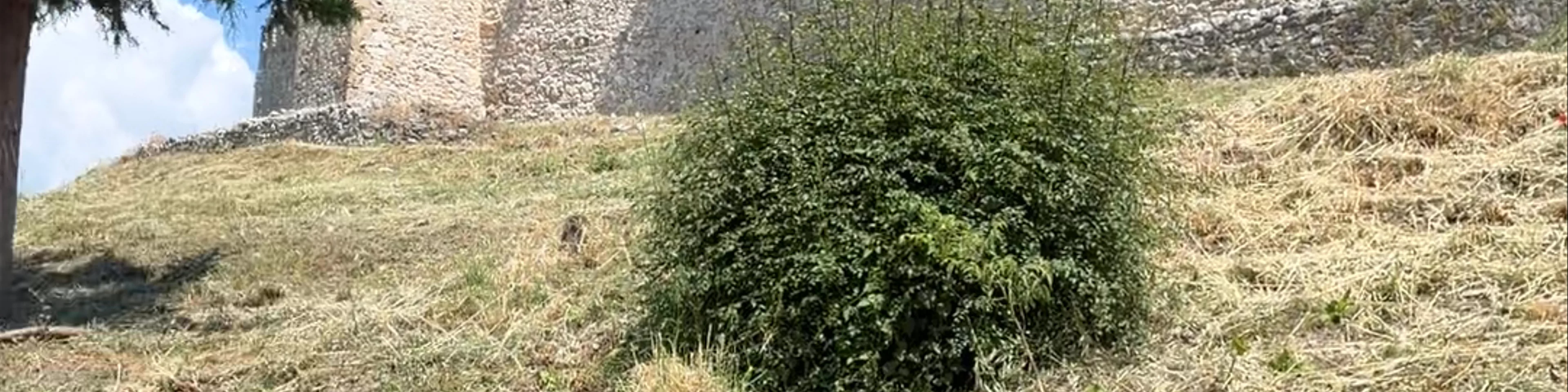 Platamon Byzantine Castle