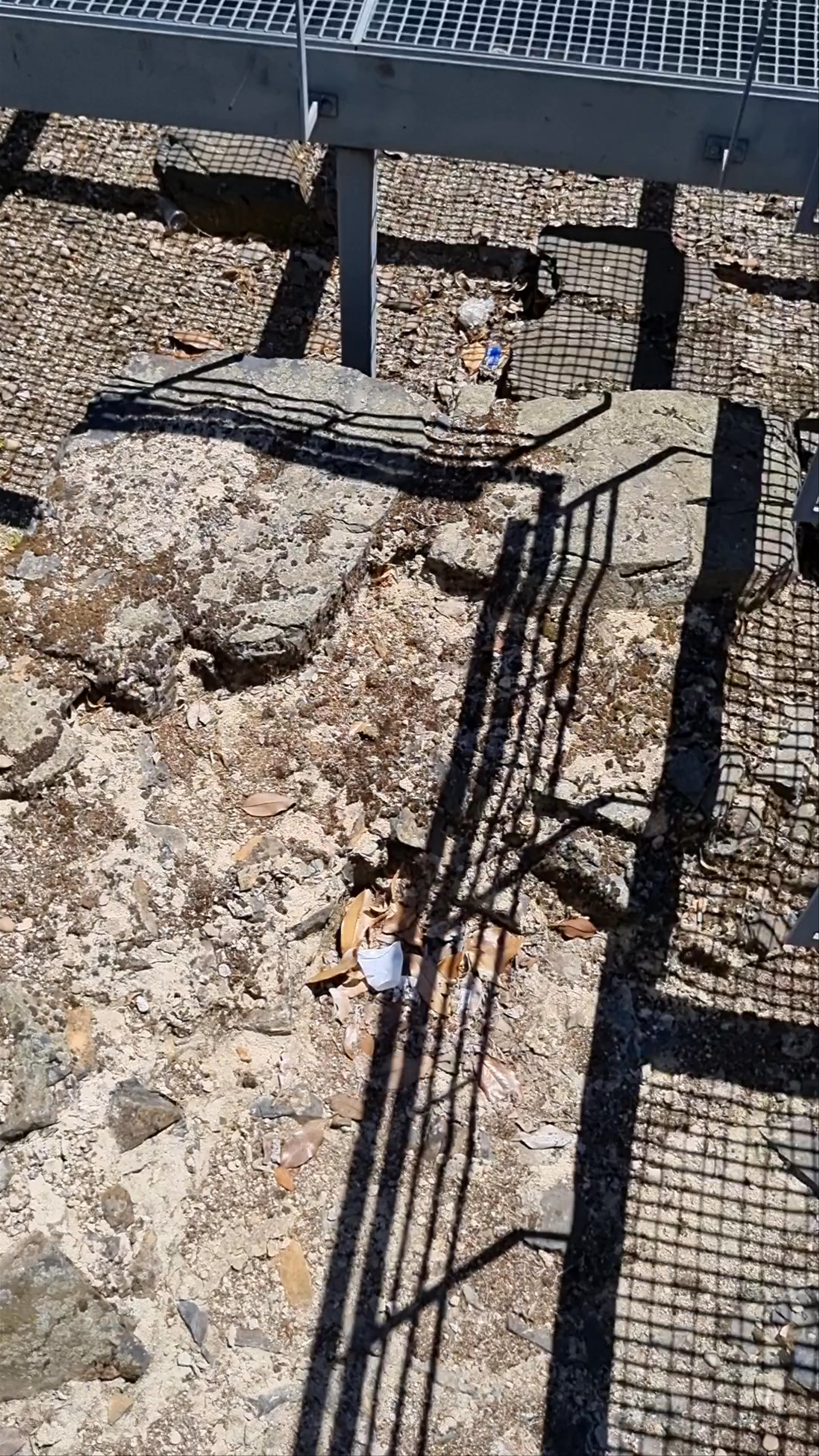 Centro Cultural Municipal de Bragança