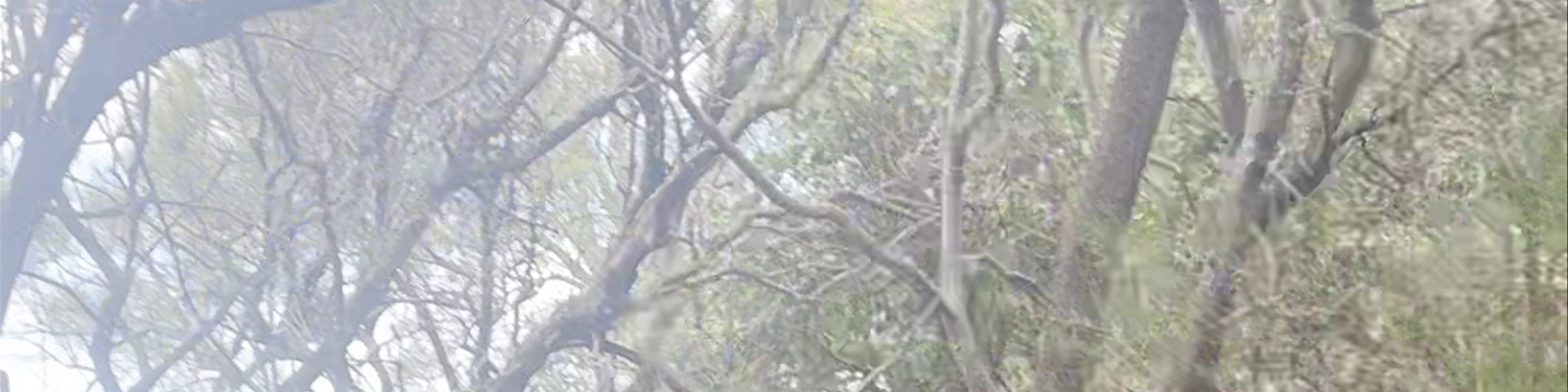 Wamberal Lagoon Nature Reserve
