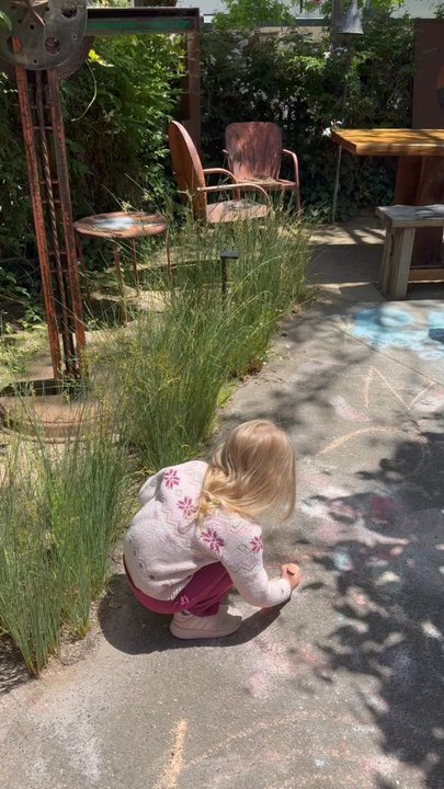 Illumigarden - Secret garden - Landscaping Near Me - Mill Valley, California