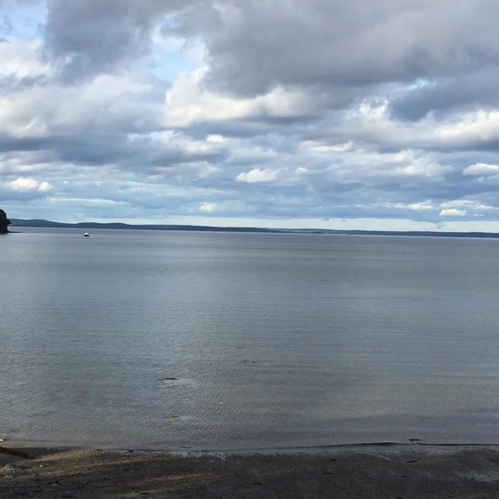 The Chart Room - Seafood Near Me - Bar Harbor, Maine
