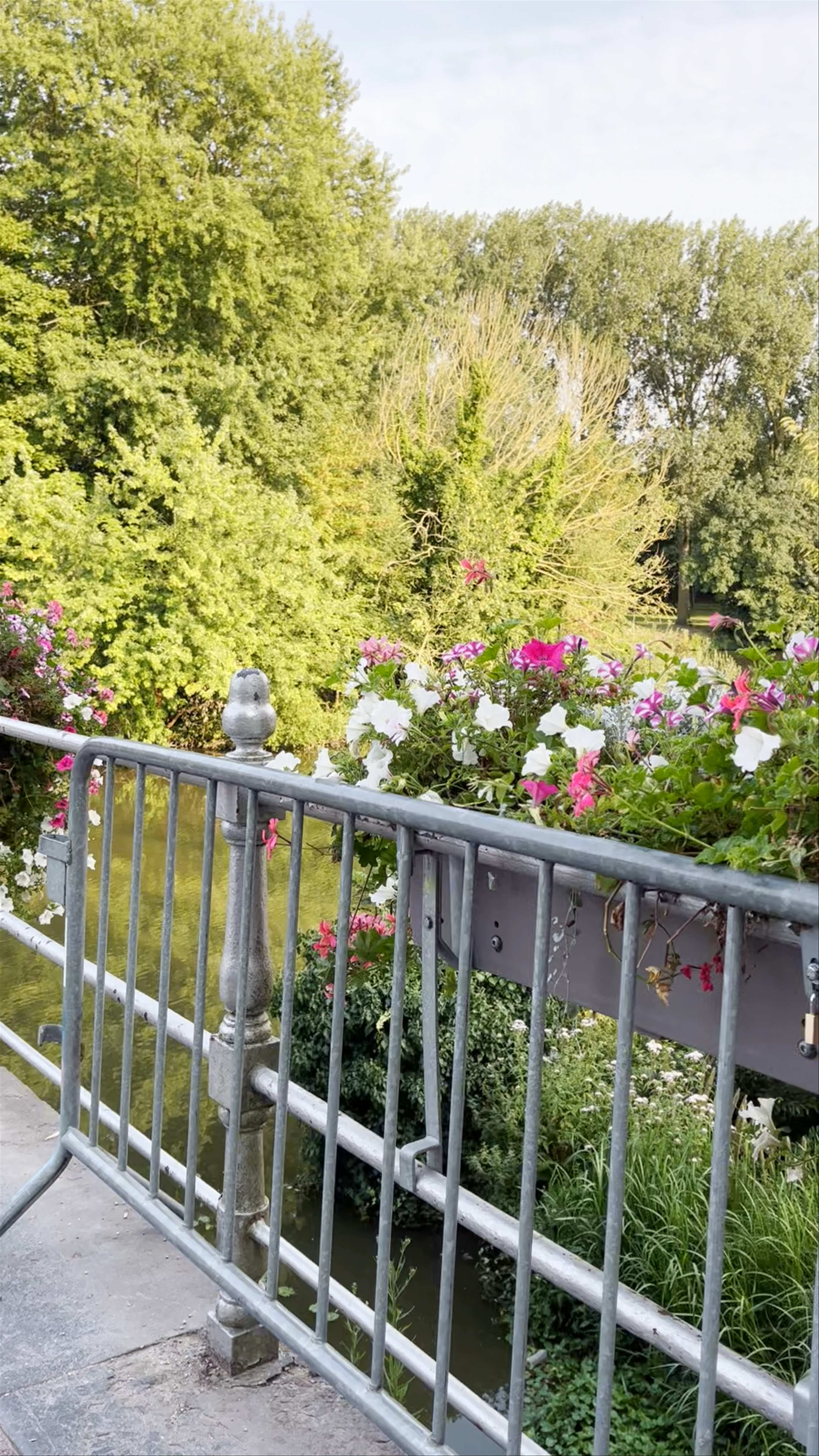 Lago de Amo, Bruges