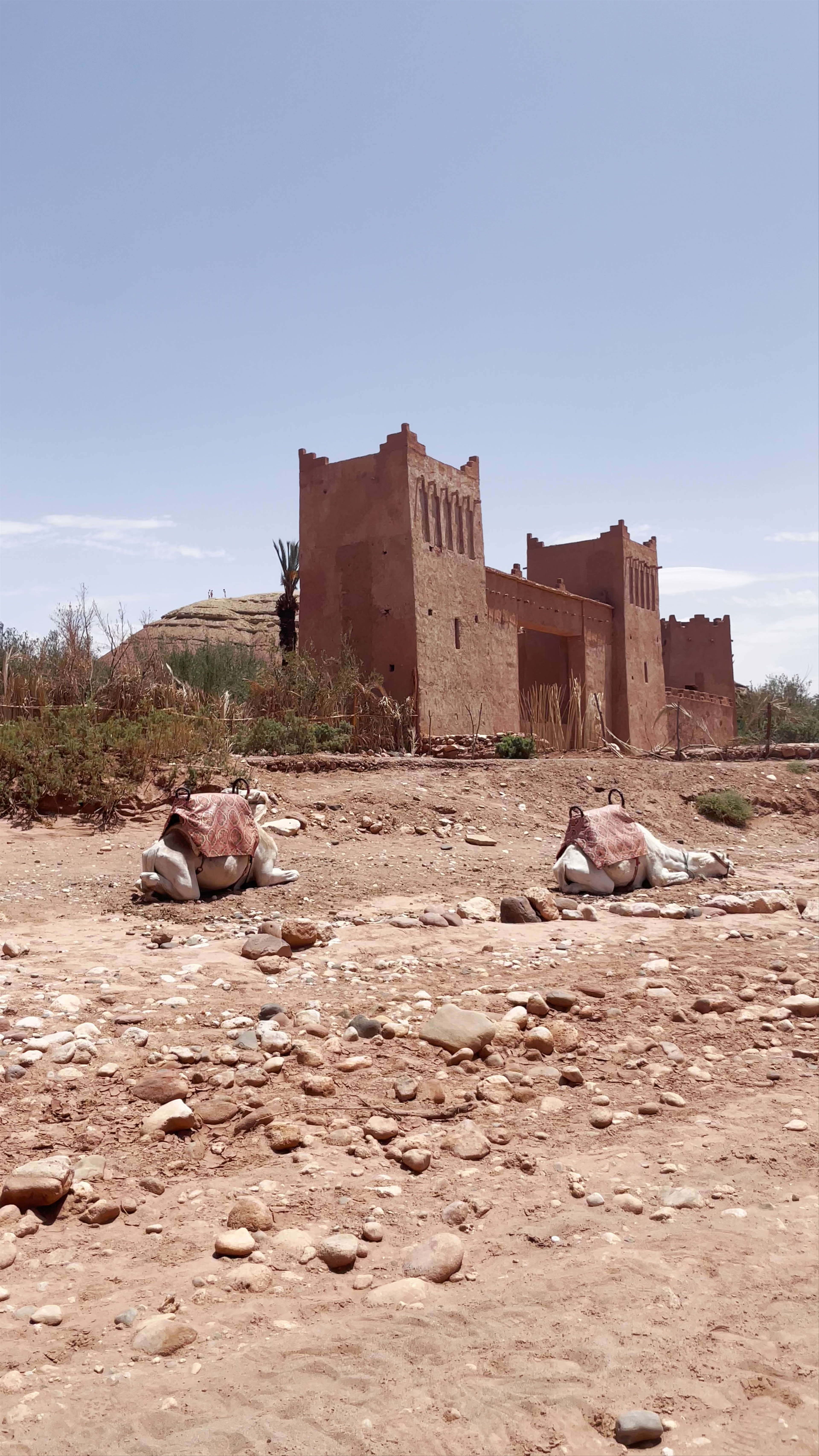Ksar Aït-Ben-Haddou: Timeless Desert Fortress in Morocco