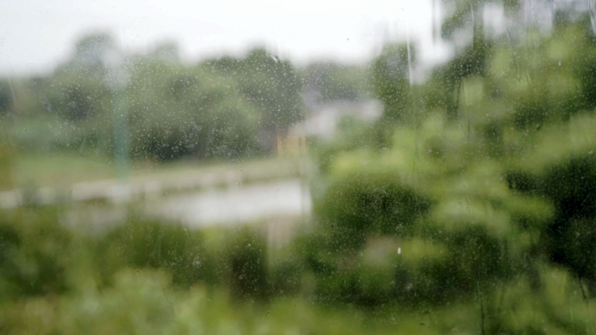 Greenhouse Rain