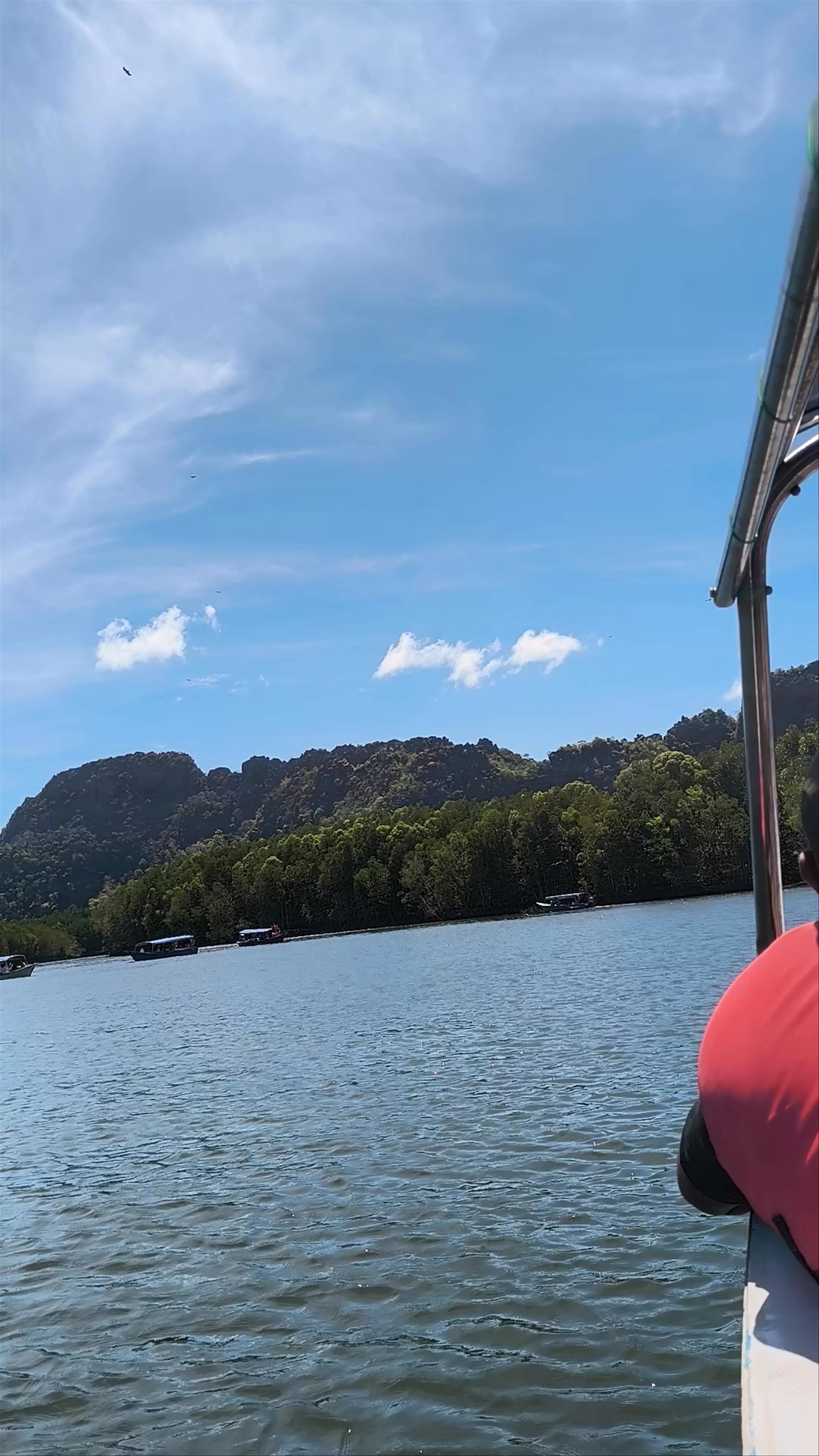 Tanjung Rhu Mangrove Eagle Viewing