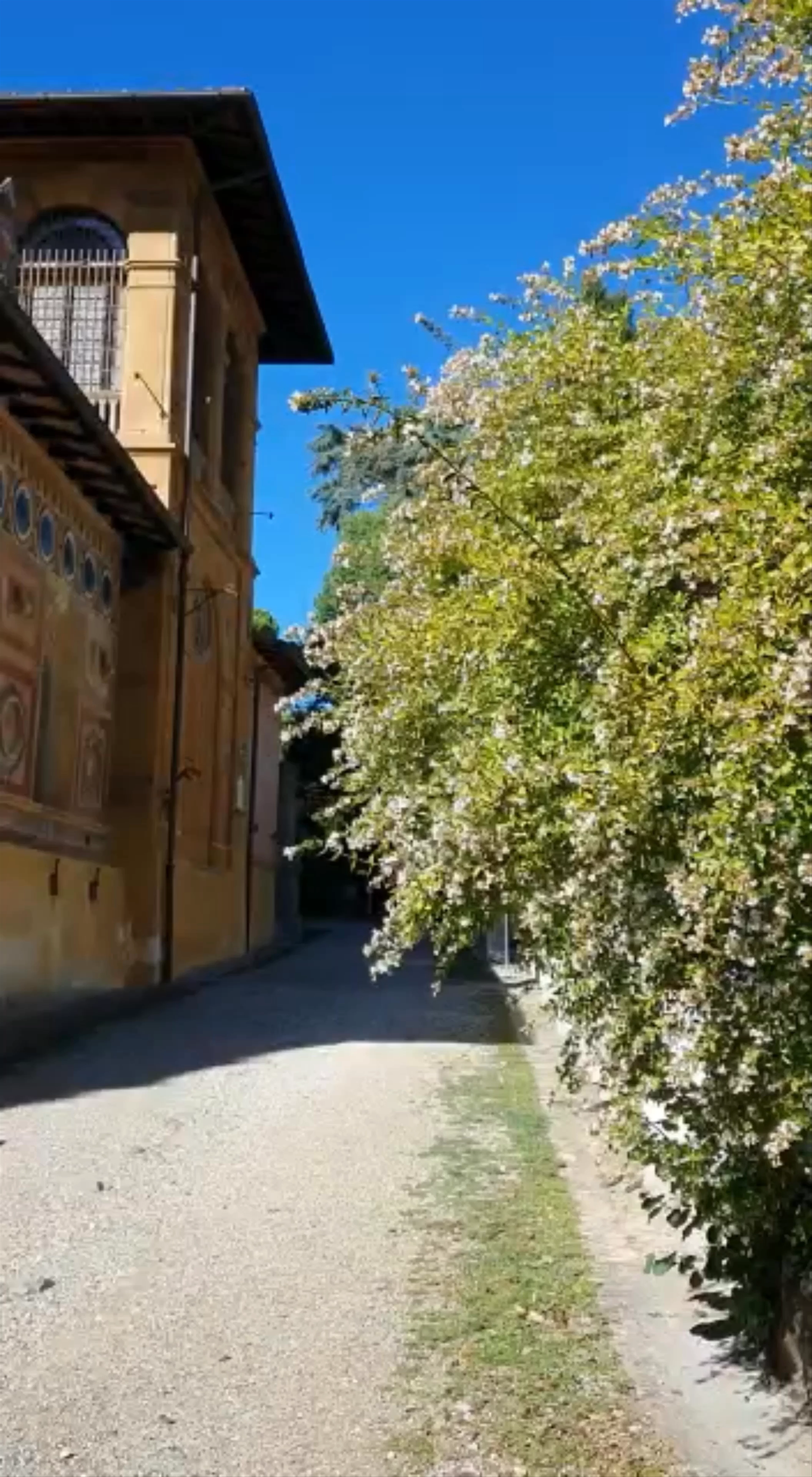 Giardino del Museo Stibbert