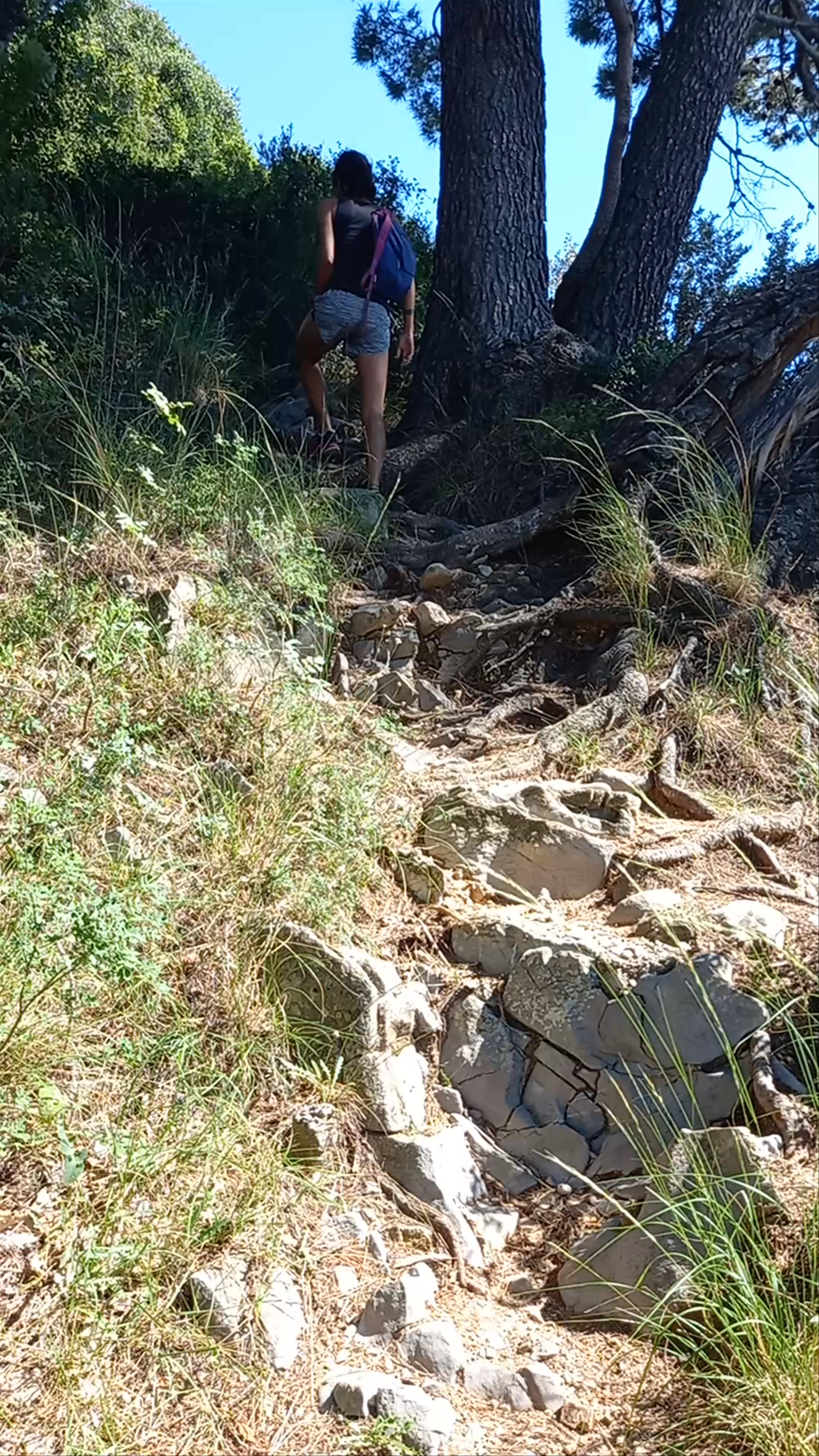 Hiking Trail Luchice - Buljarica