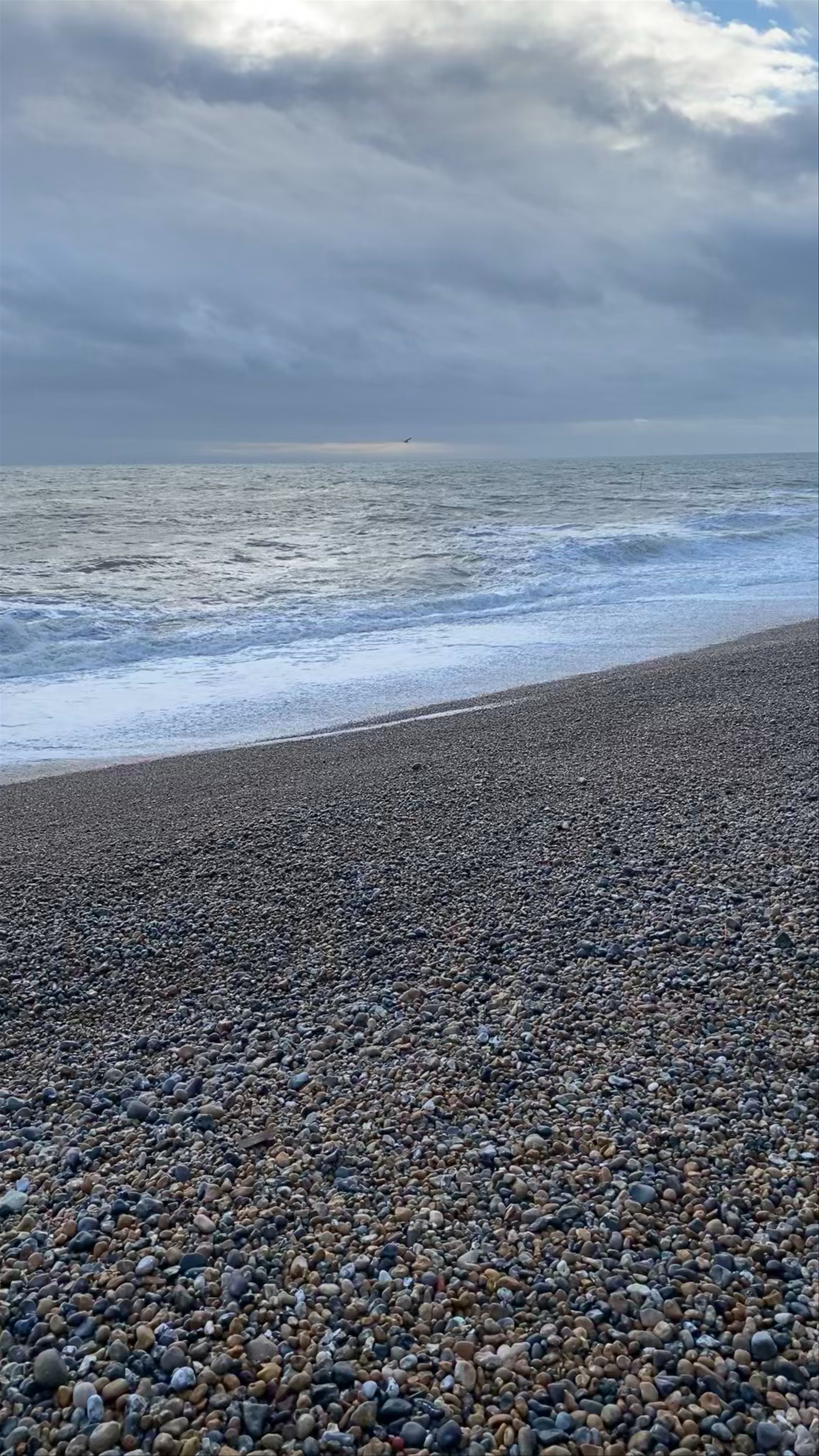 Hove Lawns
