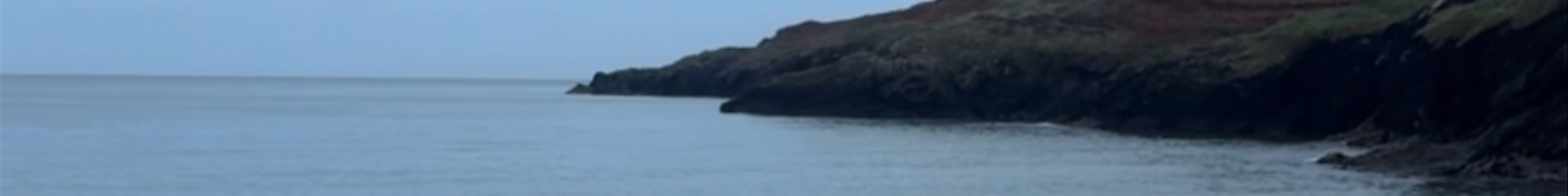 Tours & experiences in Wicklow