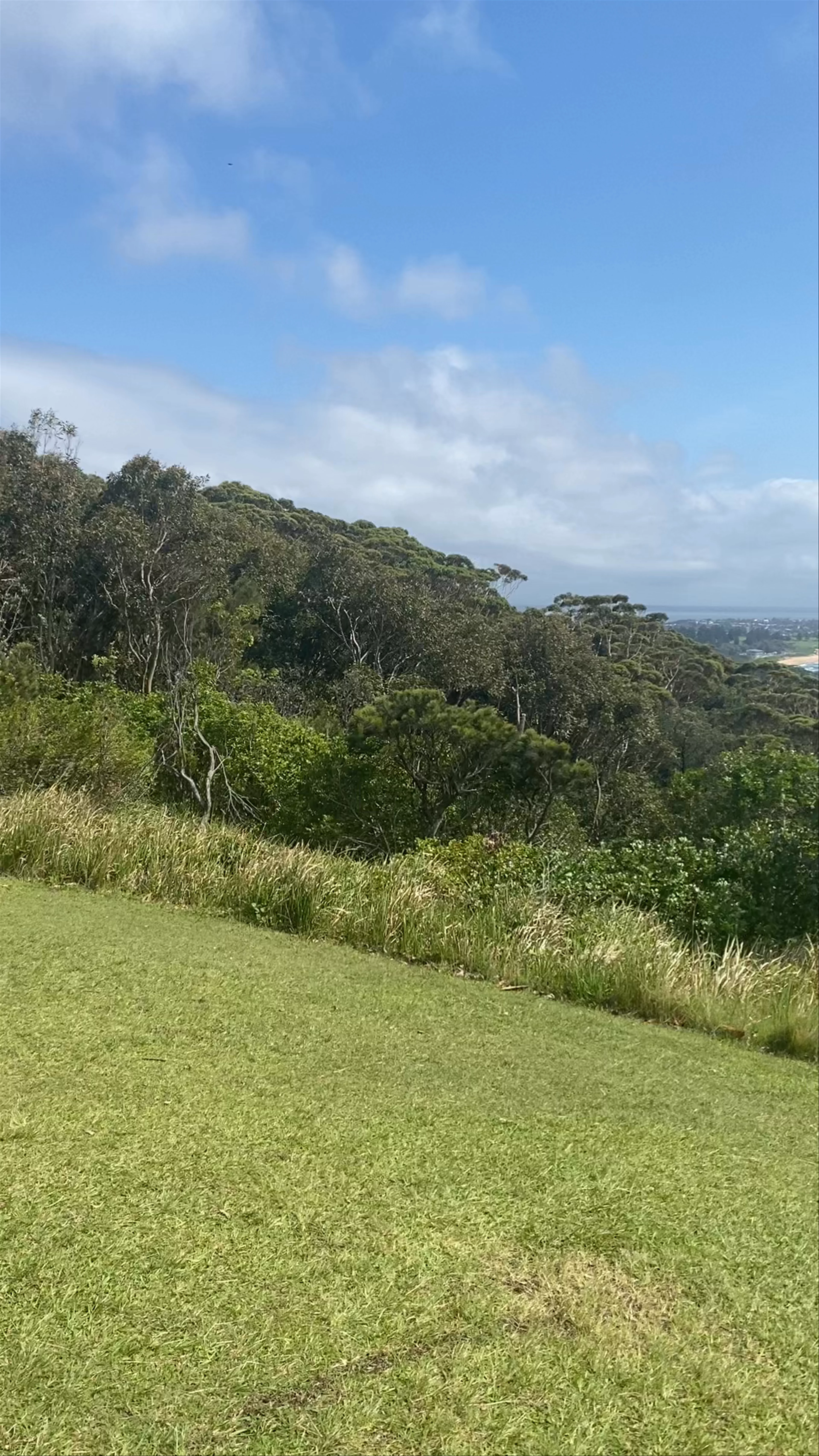 Crackneck Point Lookout, Wyrrabalong Coastal Walk