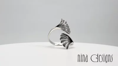 Preview image for video