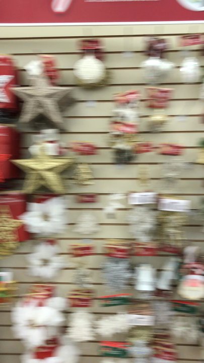 Dollar Tree - Lots of Christmas stuff! - Discount Store Near Me - Smyrna, Georgia