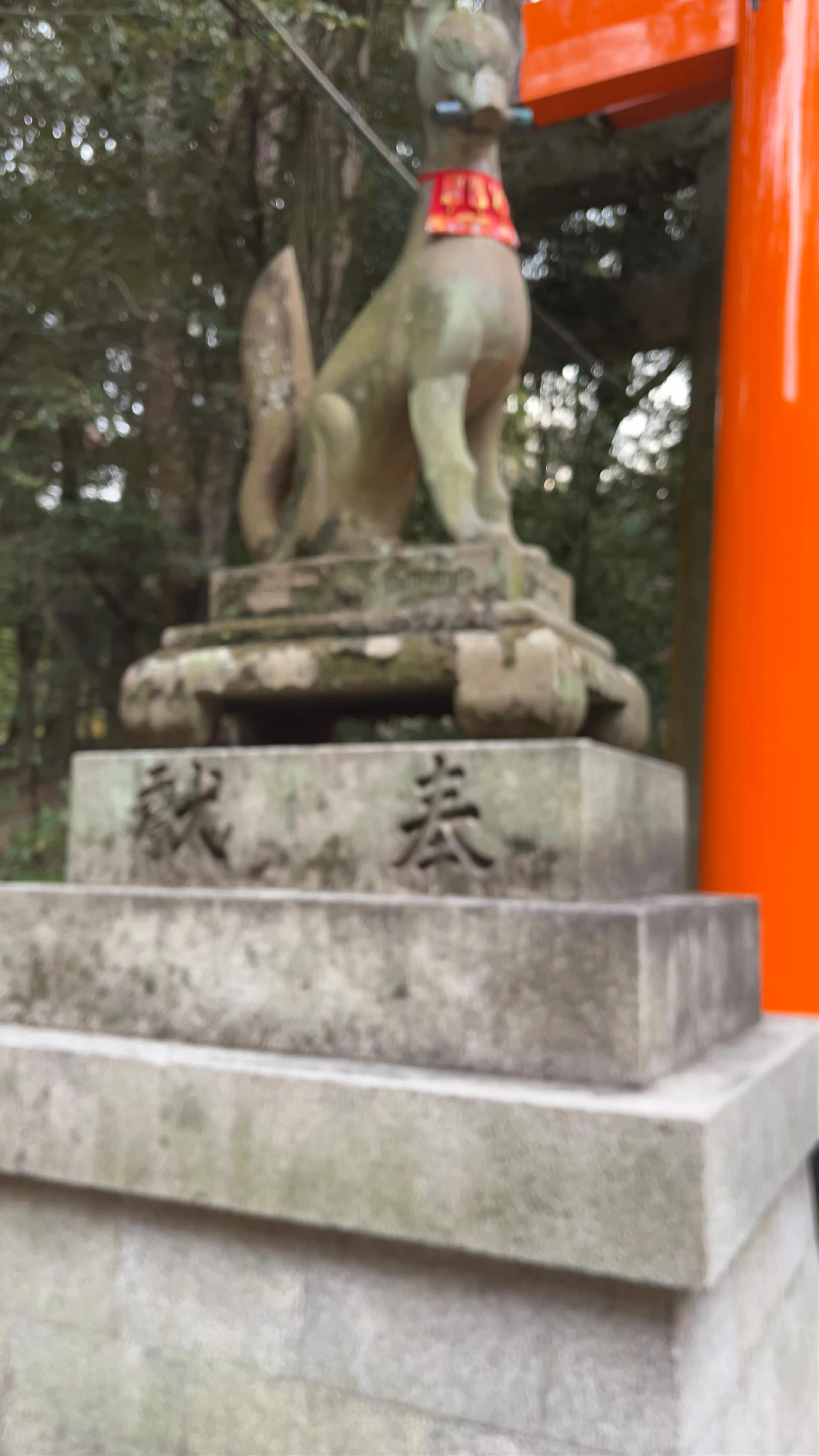 Fushimi Inari Shrine (Thousand Torii Gates)
