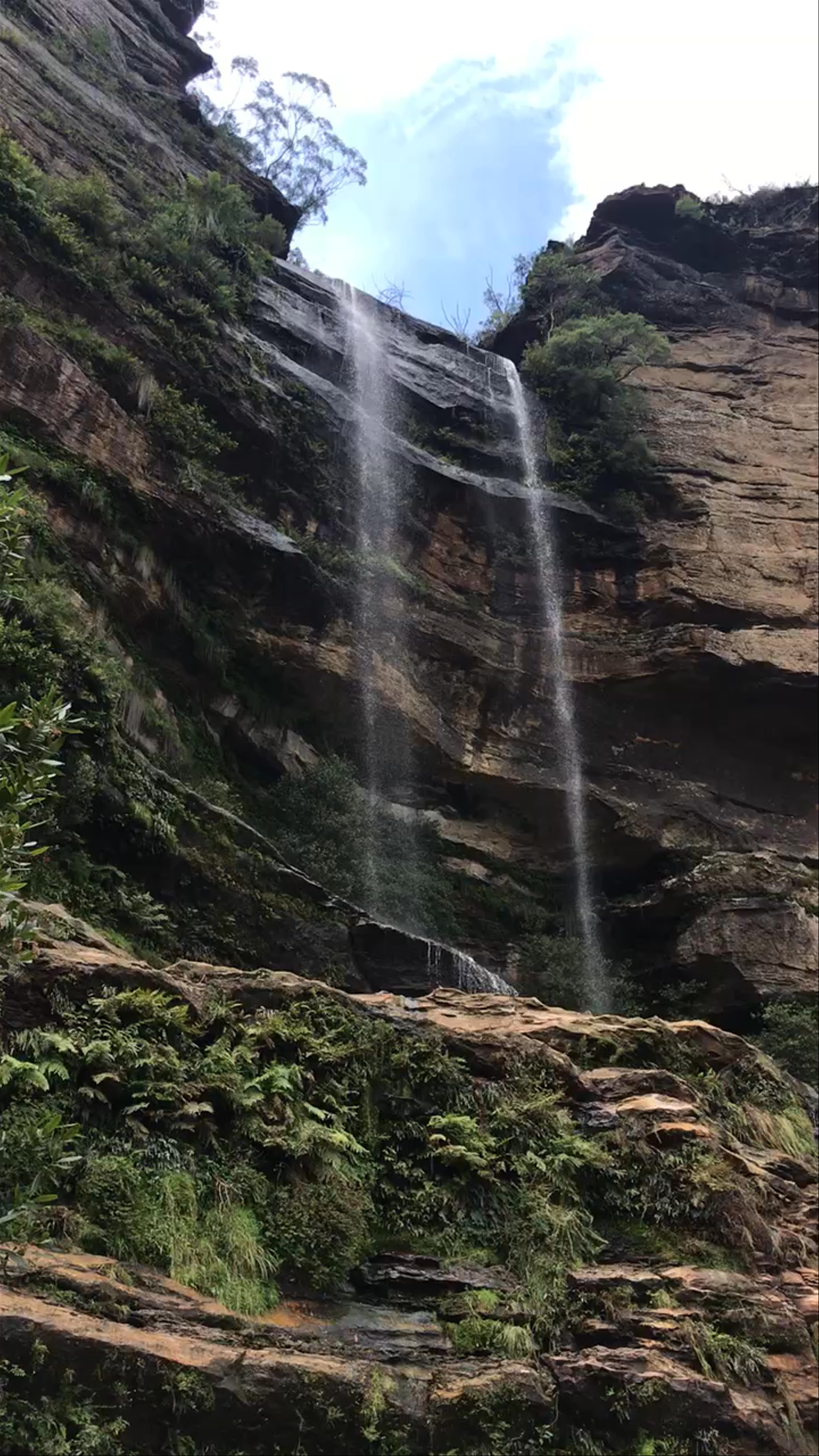 Blue Mountains