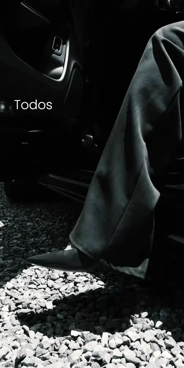Contenido del creador