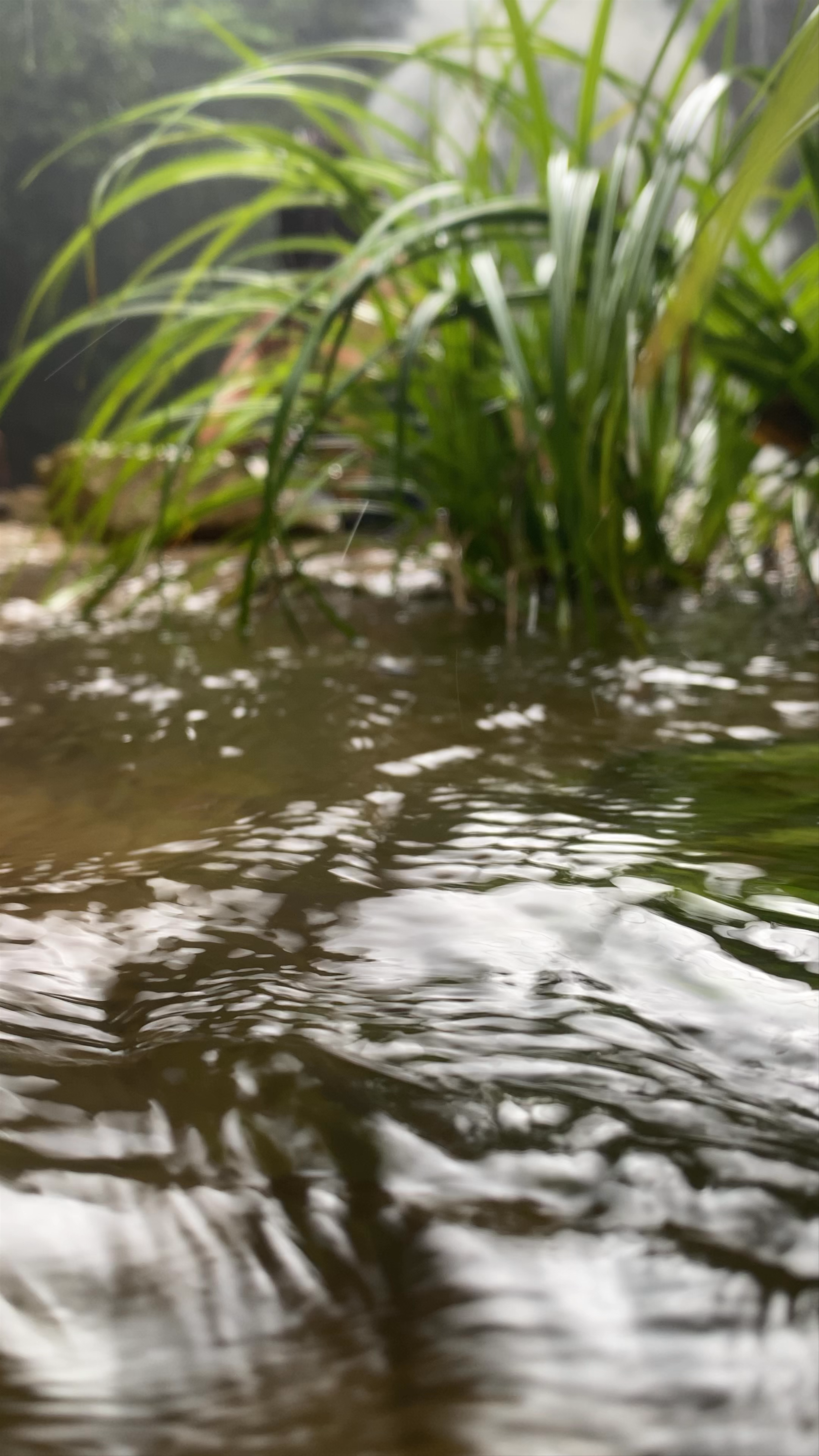 Bride's Pool Waterfall