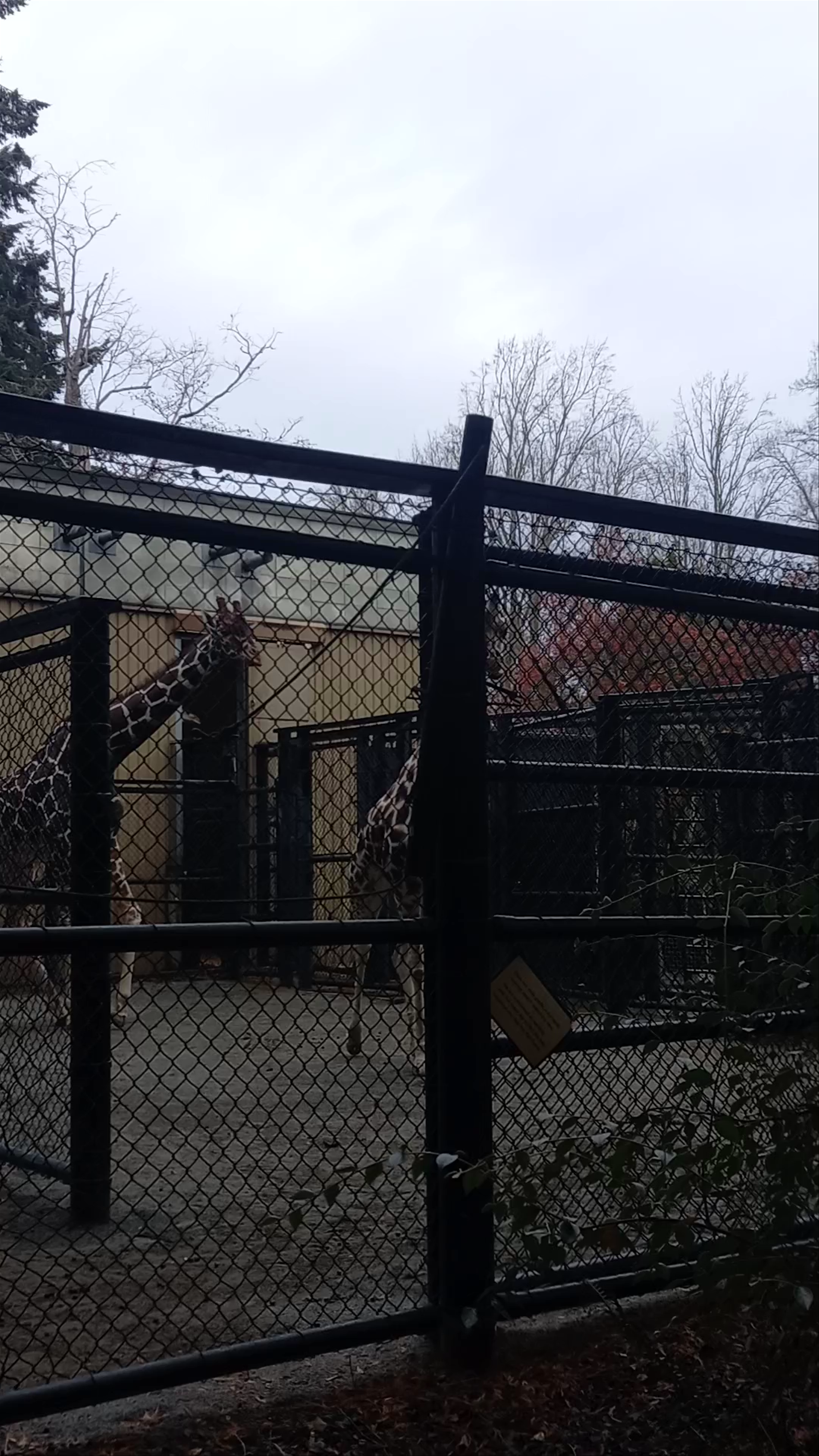 Woodland Park Zoo