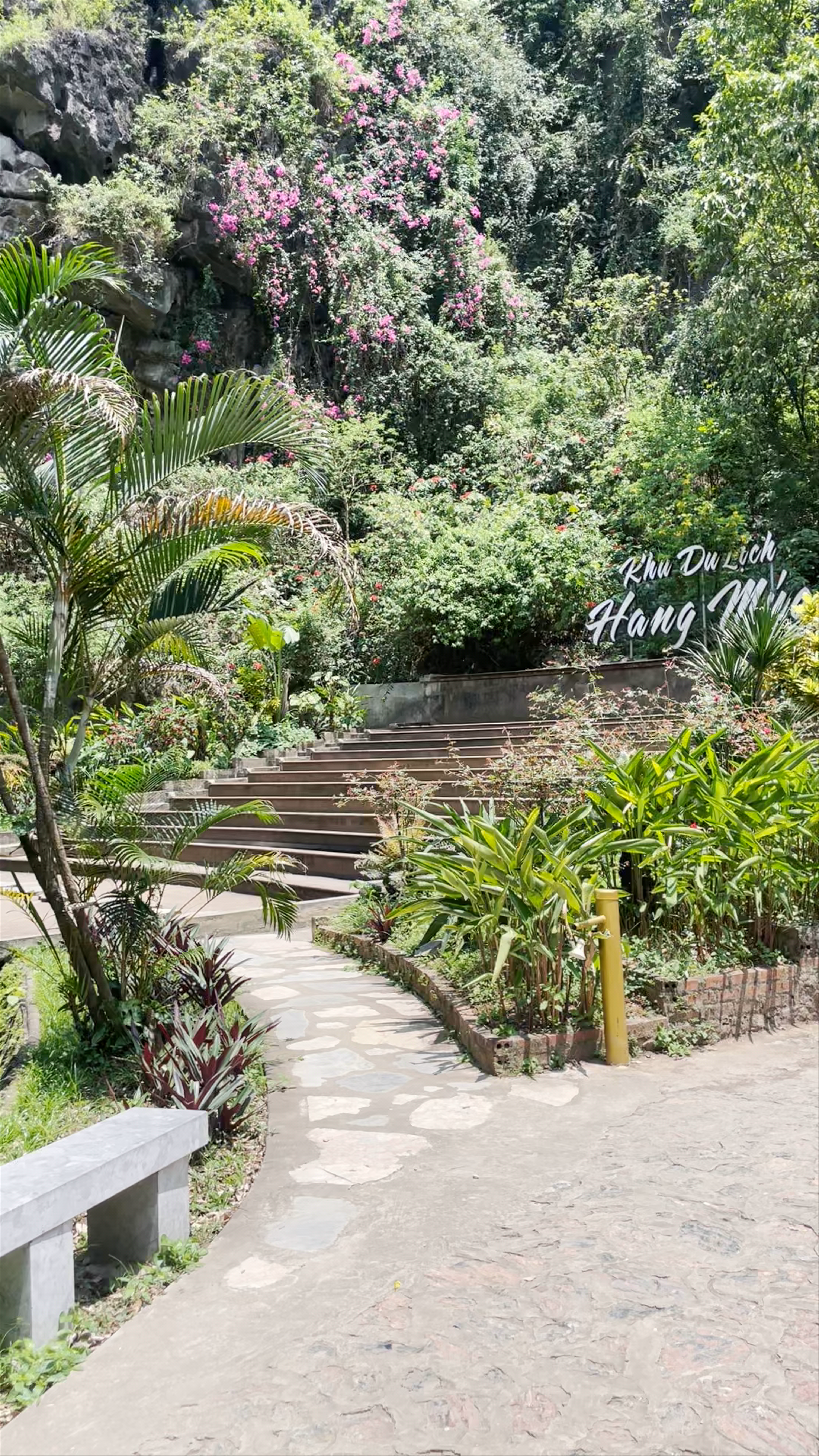Tranquil Paths and Mystical Statues at Hang Múa, Ninh Bình, Vietnam