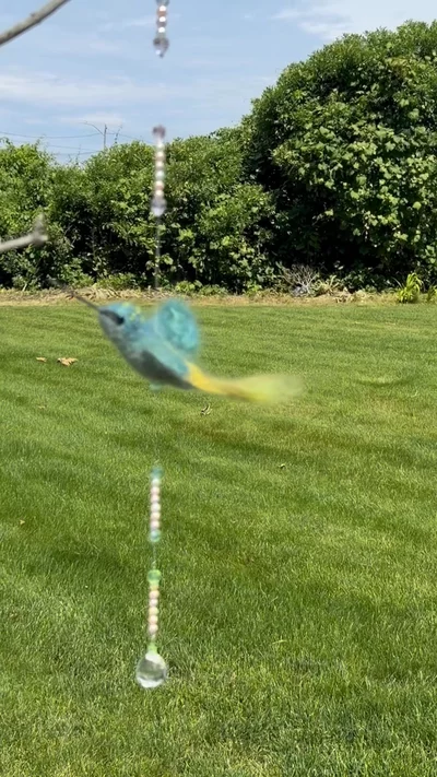Preview image for video