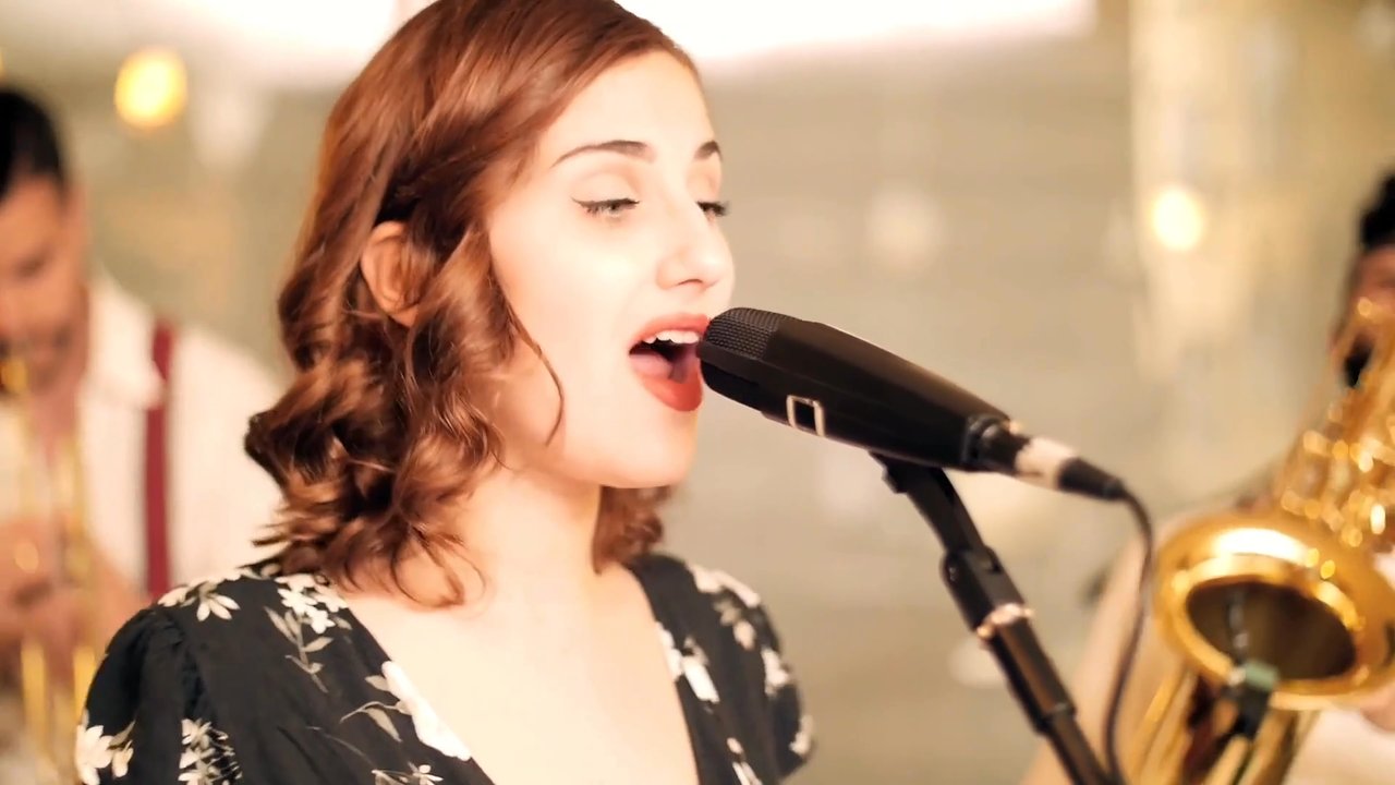 The Dixie Roamers - Live Promo 2025 - video