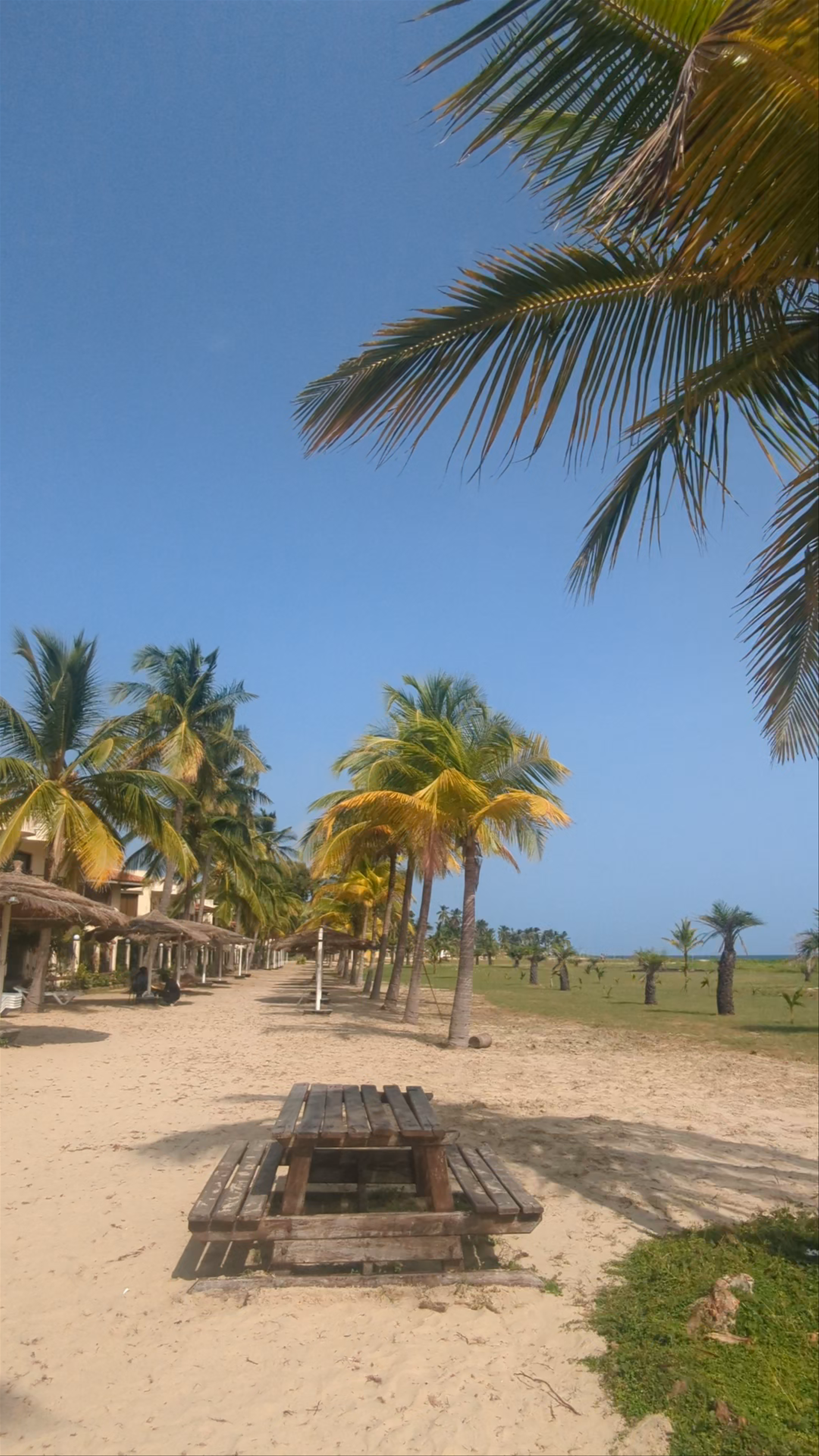 Ocean Bay Hotel & Resort