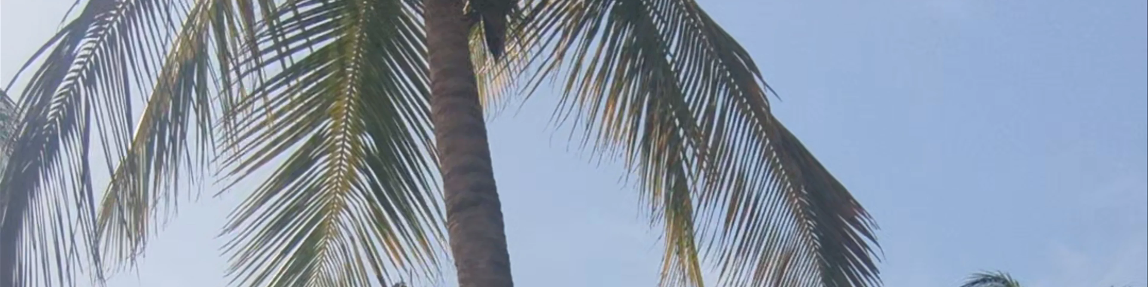 Ocean Bay Hotel & Resort