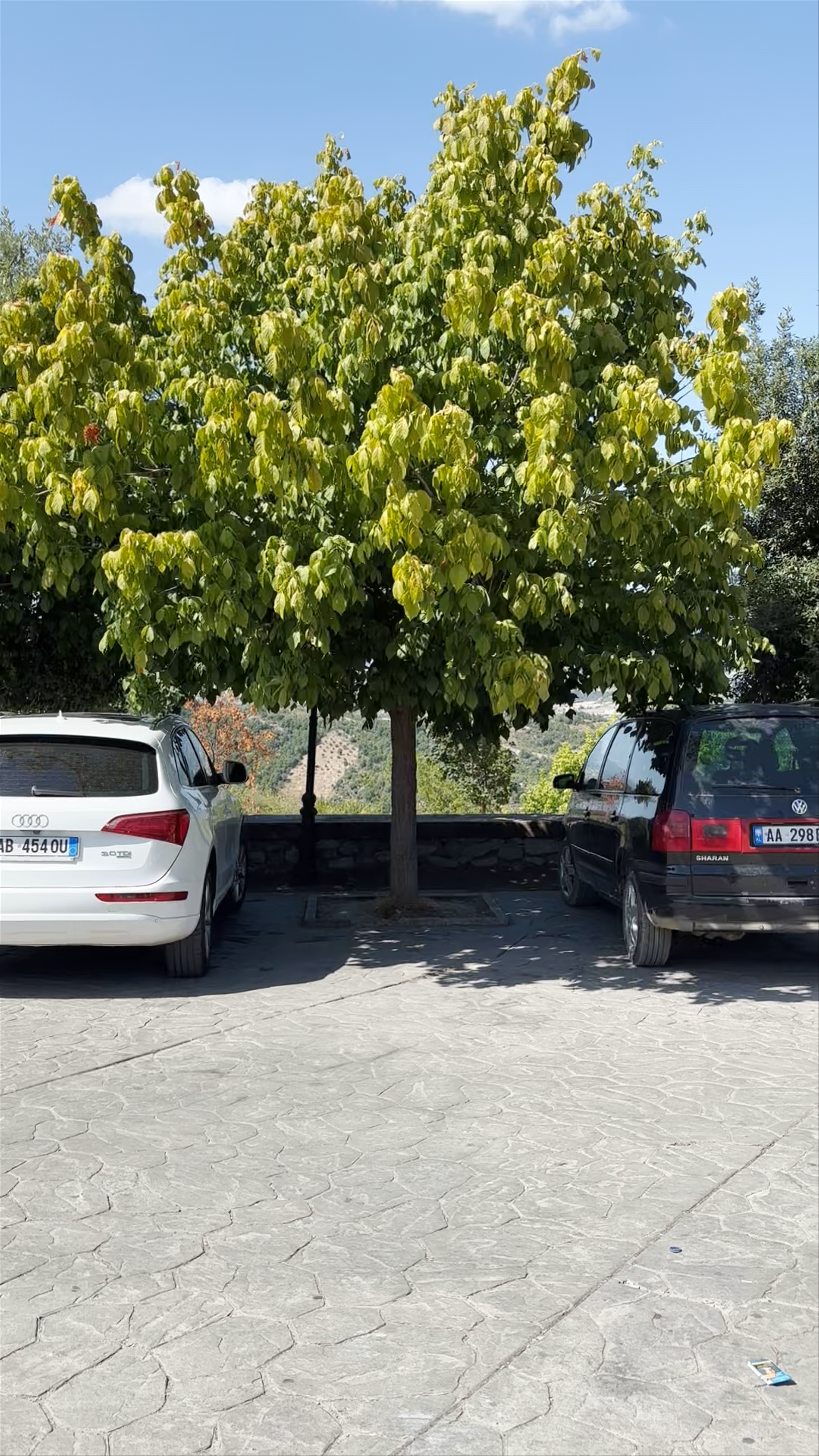 Petrela Castle