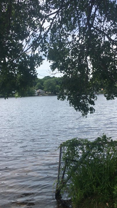 Falls Pond - Found a cool spot on a pond. Fishing anyone? - Boating Near Me - North Attleborough, Massachusetts