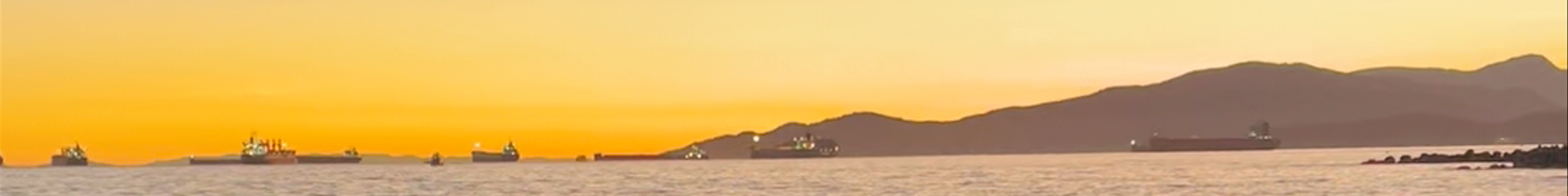 Tours & experiences in Vancouver