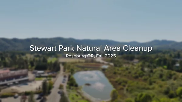 Stewart Park Natural Area Cleanup Completed