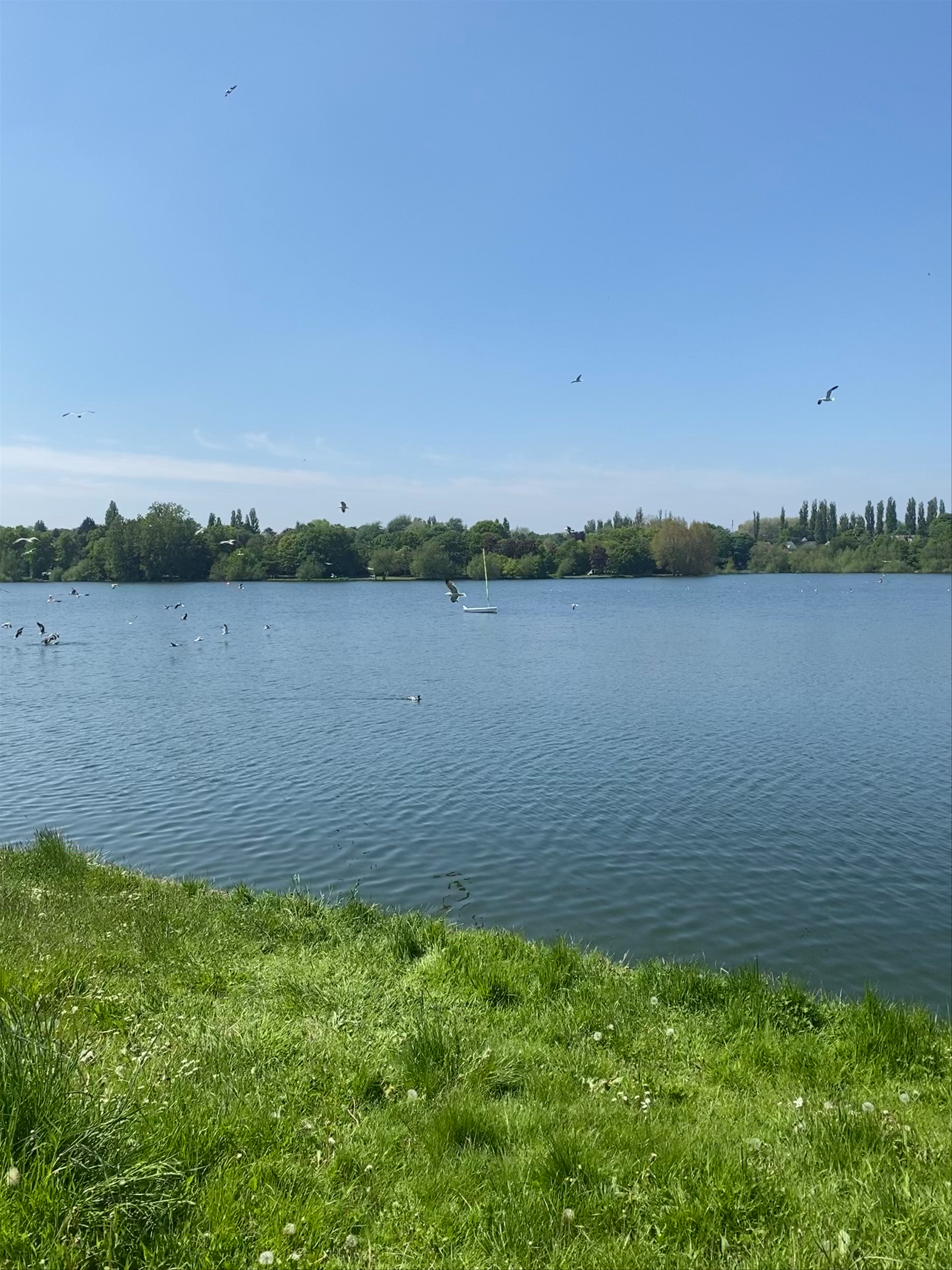 Serene Views of Edgbaston Reservoir in Birmingham