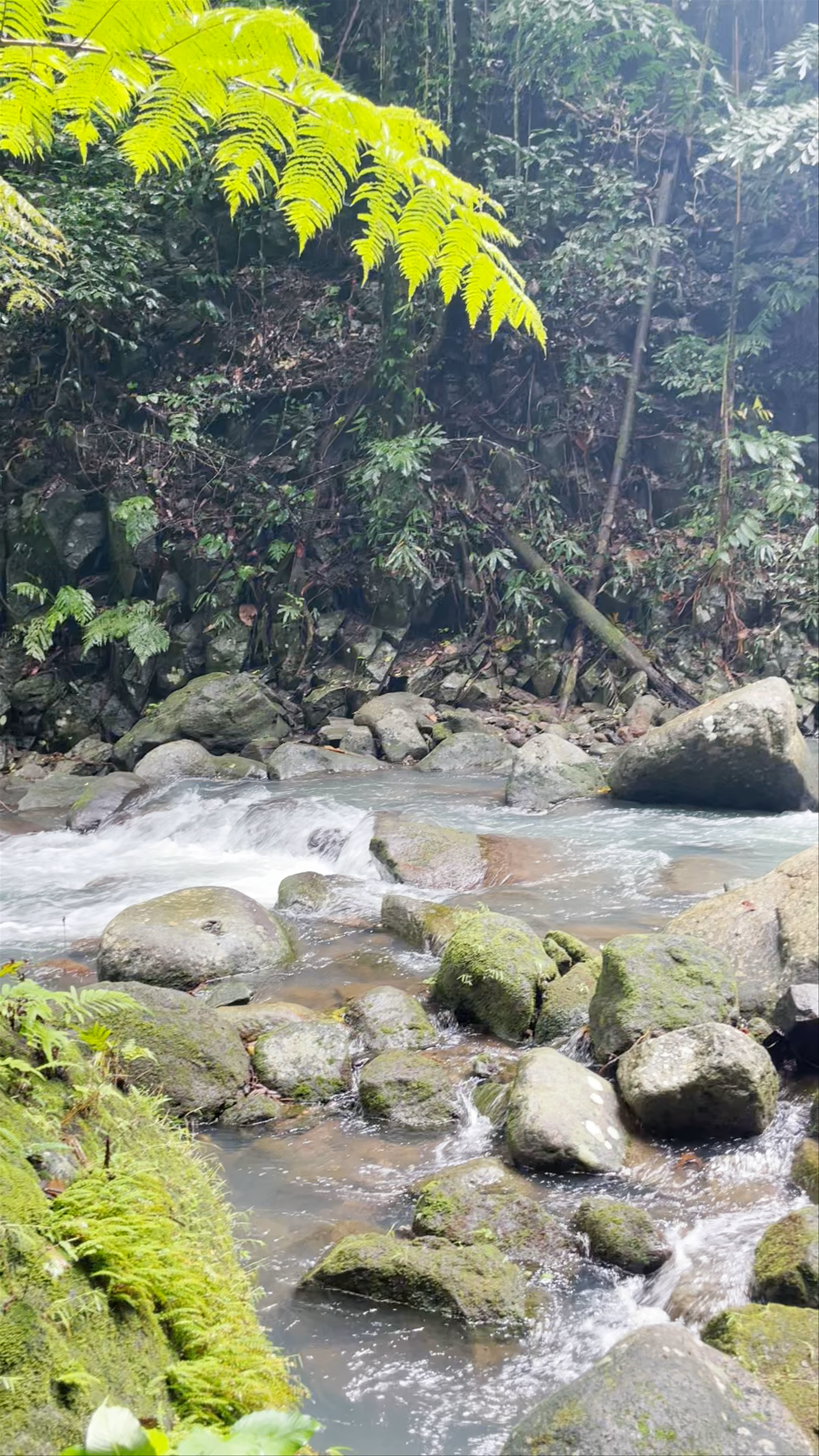 Casaroro Falls: Nature's Untamed Beauty in Valencia, Philippines