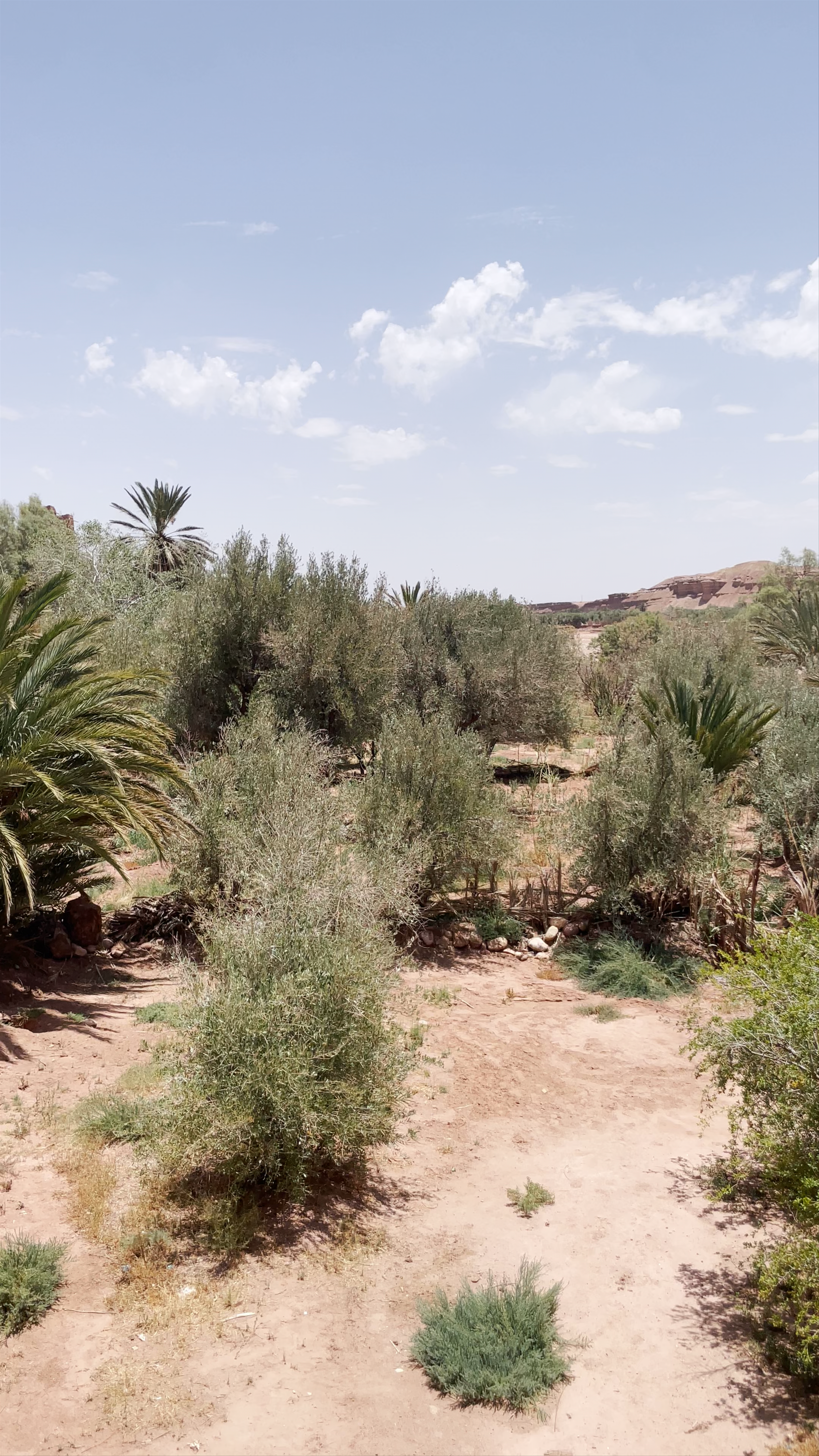 Kasbah Ait Ben Haddou: Timeless Moroccan Fortress
