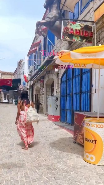 Photo of The Only Turkey Itin