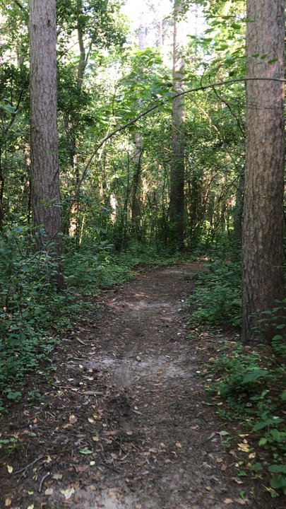Kettle Moraine State Forest - Parks Near Me - Eagle, Wisconsin