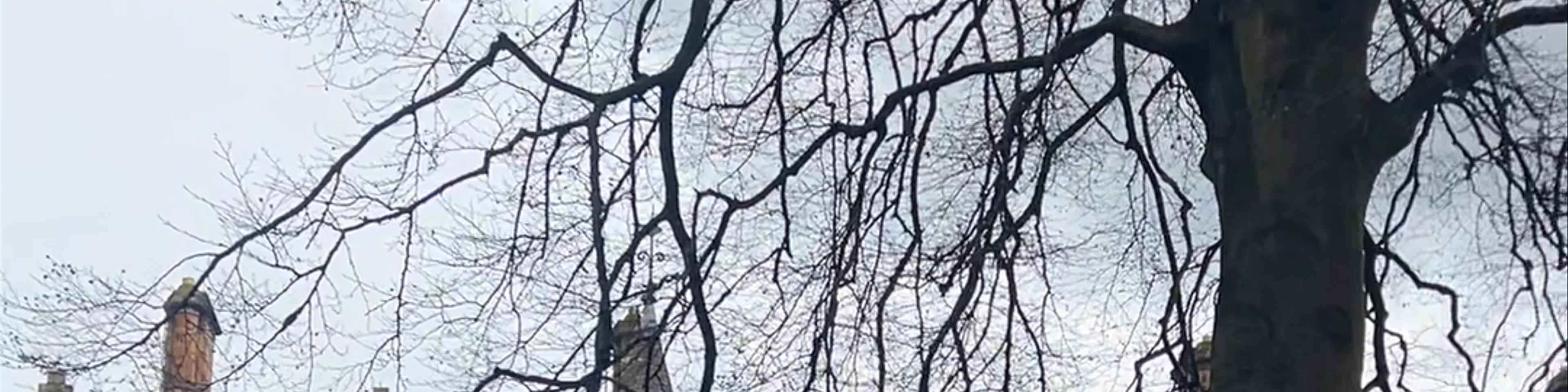 University of Glasgow