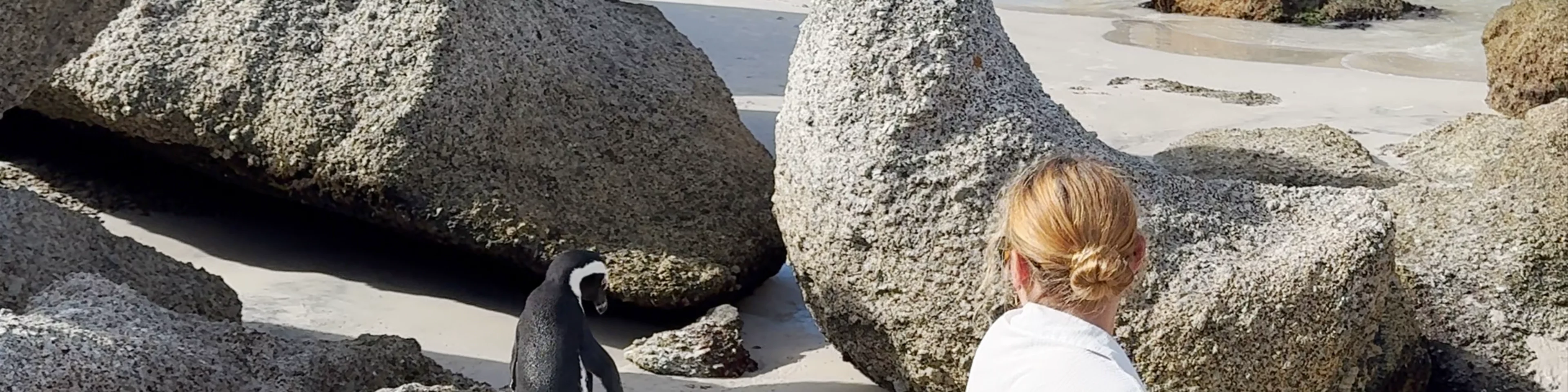 Boulders Beach