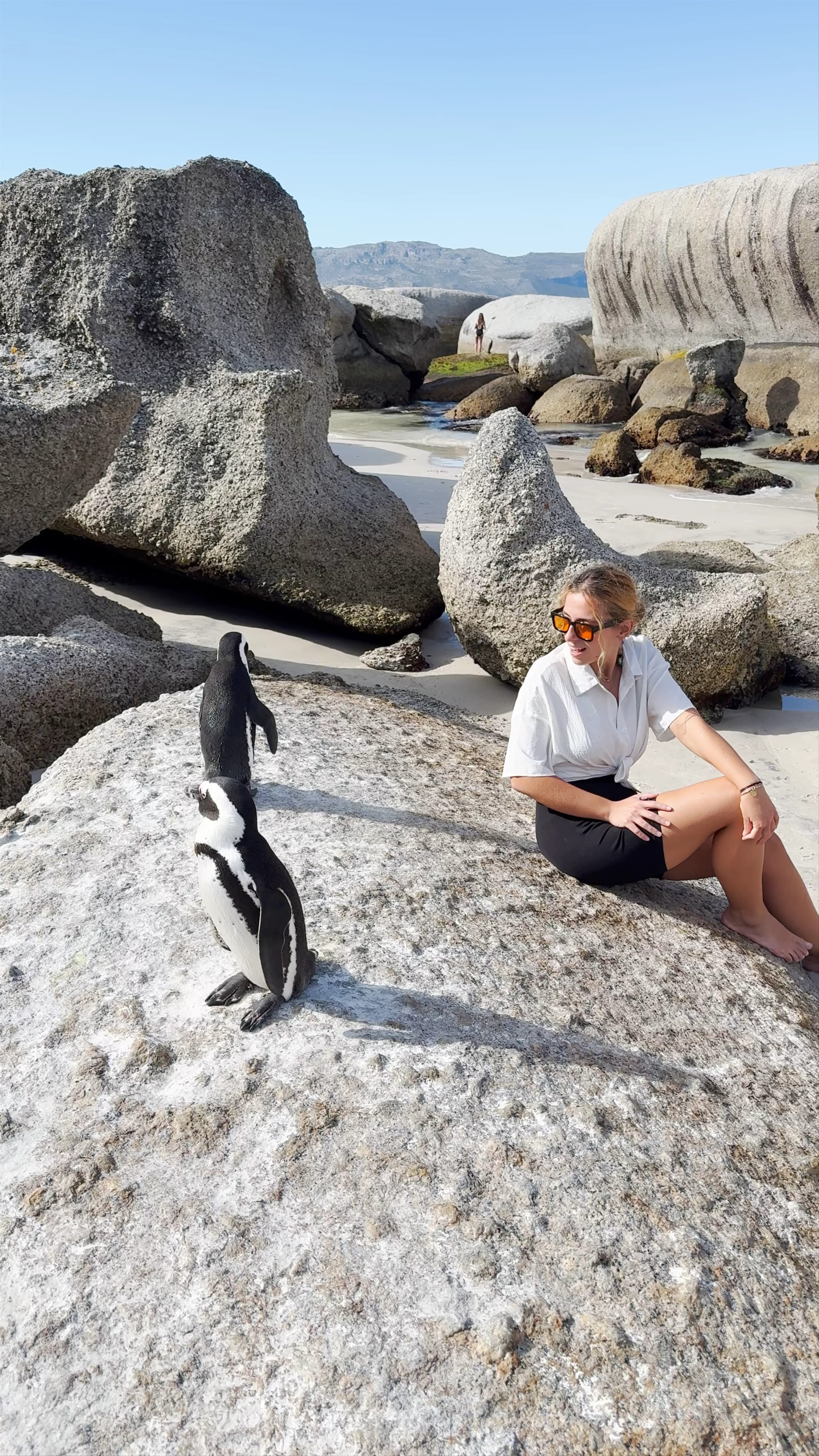 Boulders Beach, Simon's Town, Cape Town, South Africa