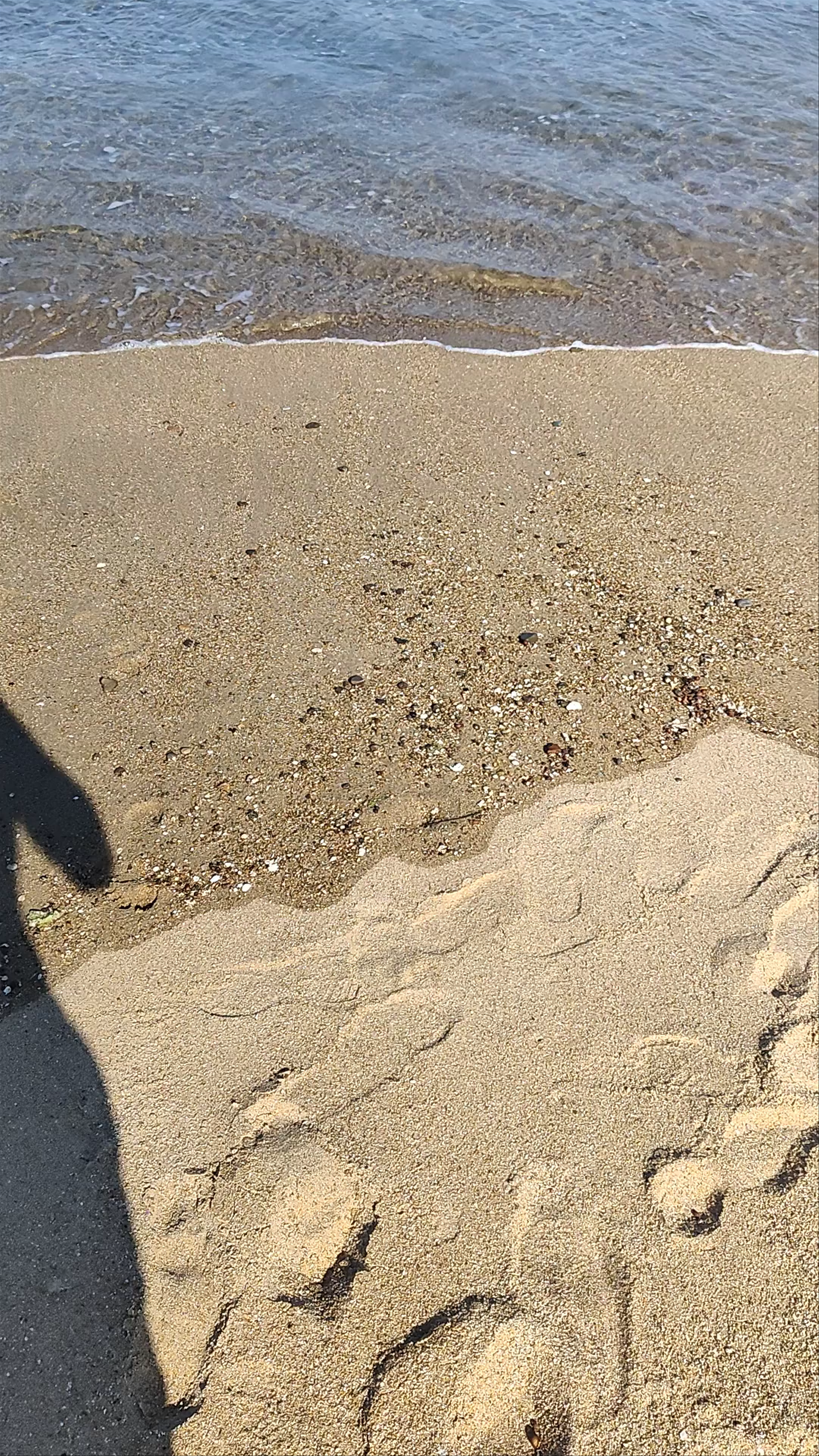 Nachikatsuura Seaside Park