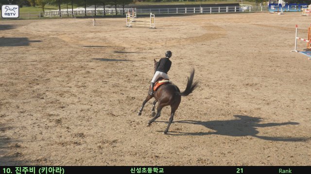 진주비 (키아라) — 2026 경북오픈 구미 Show Jumping · 장애물 110cm