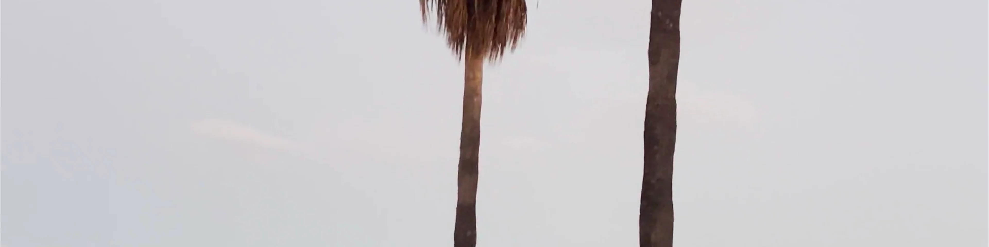 Playa de Santiago de La Ribera