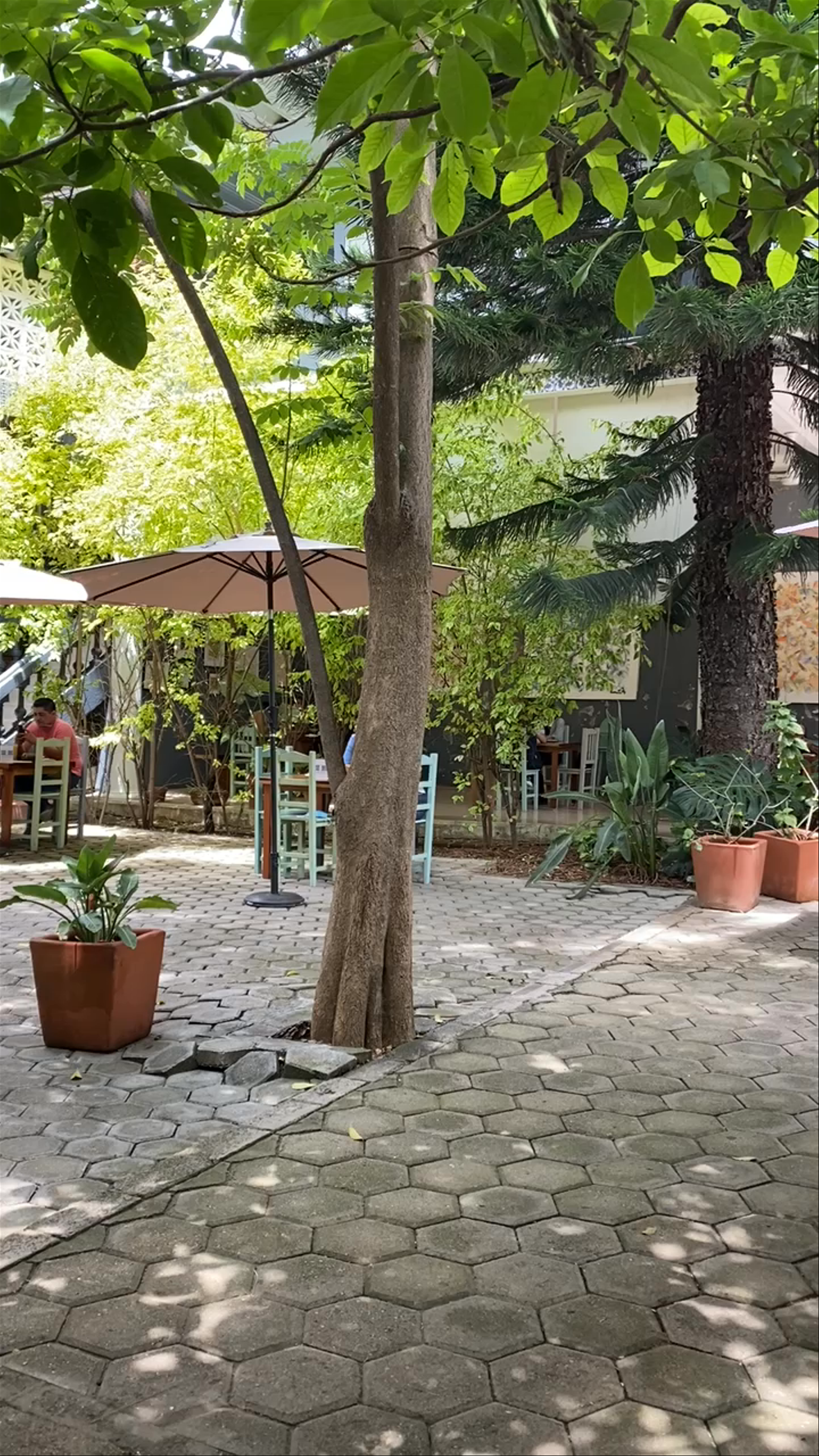 Chepiche Cafe: Serene Garden Retreat in Oaxaca de Juárez