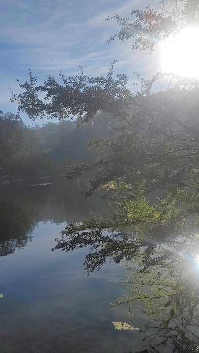 Lake Anza Beach - Beaches Near Me - Berkeley, California