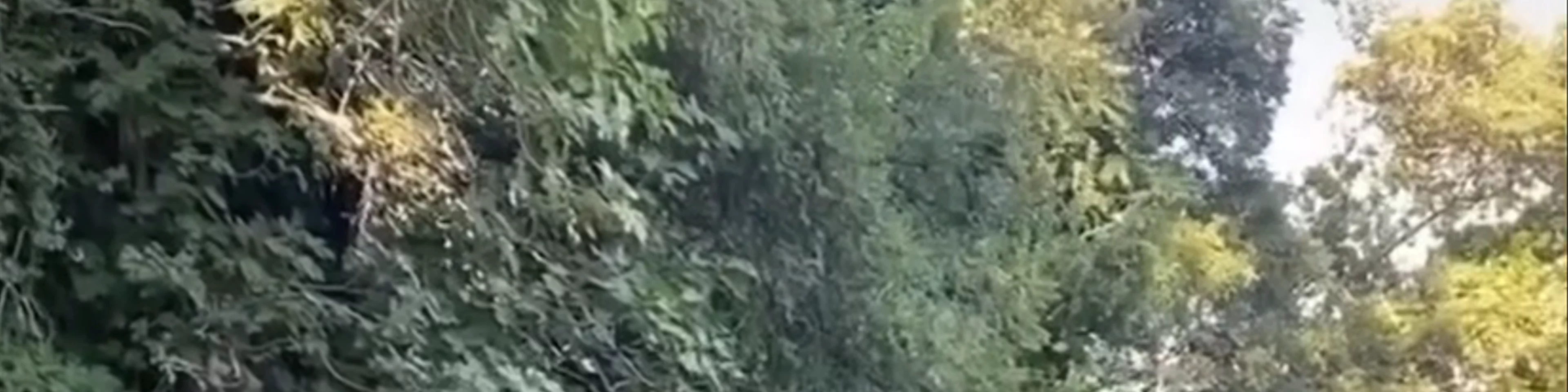 Καταρράκτες Έδεσσας